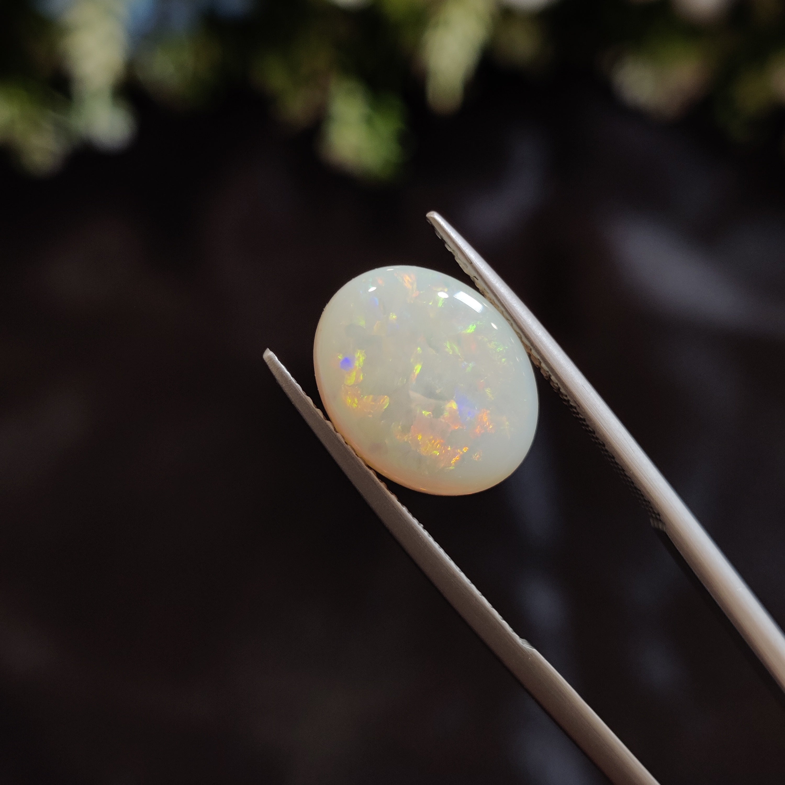 Opal | OPAL 152 | 3.93 Carat