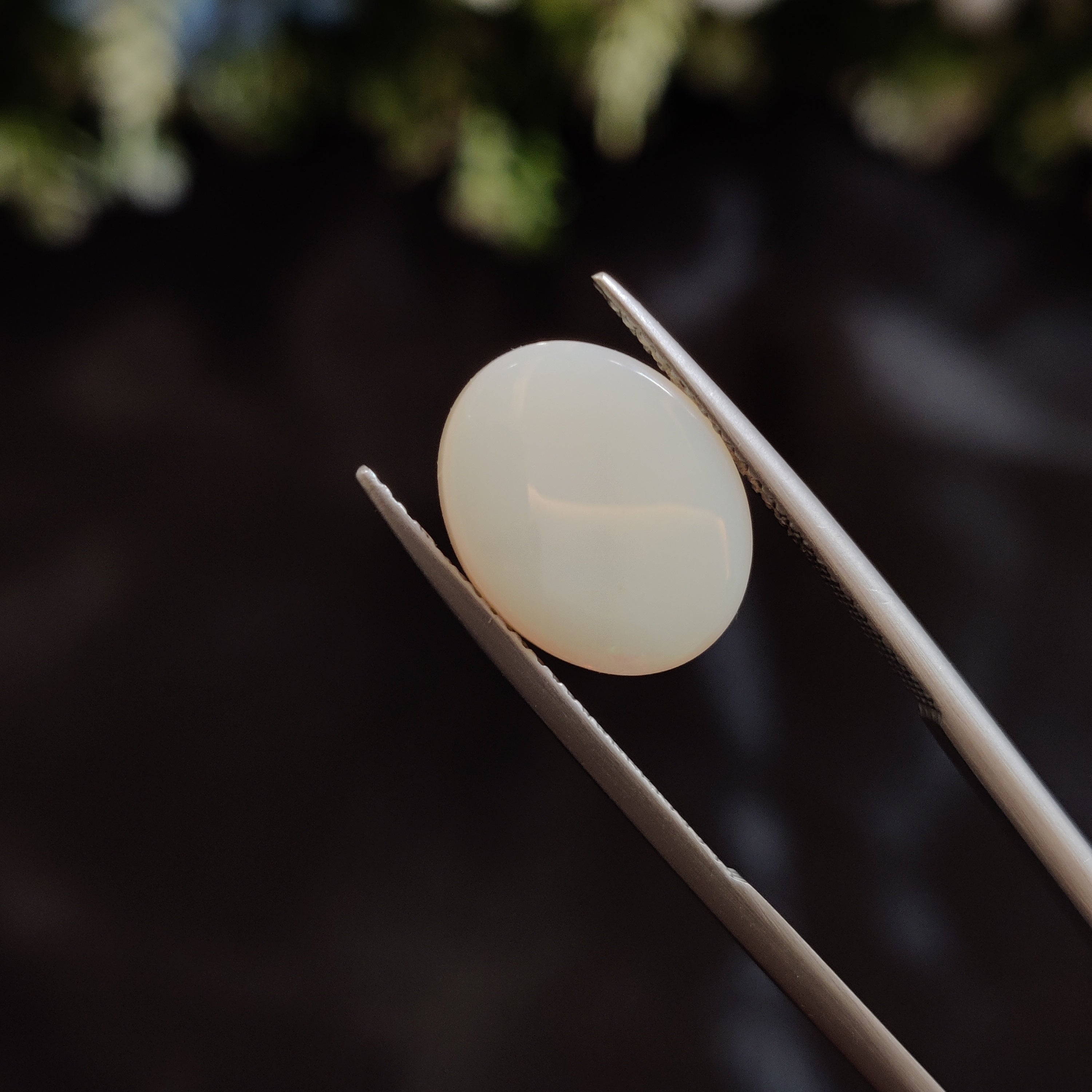 Opal | OPAL 152 | 3.93 Carat