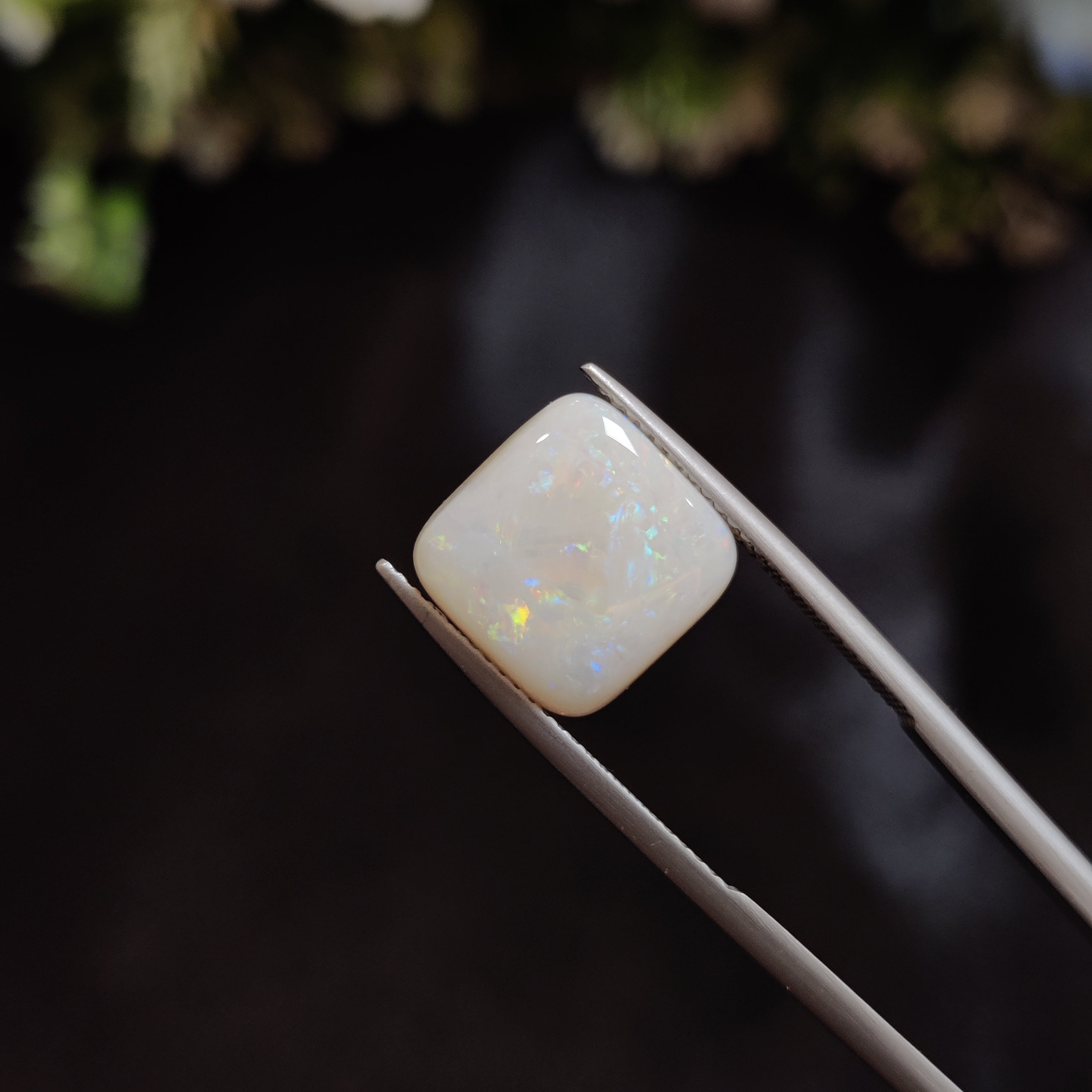 Opal | OPAL 141 | 4.27 Carat