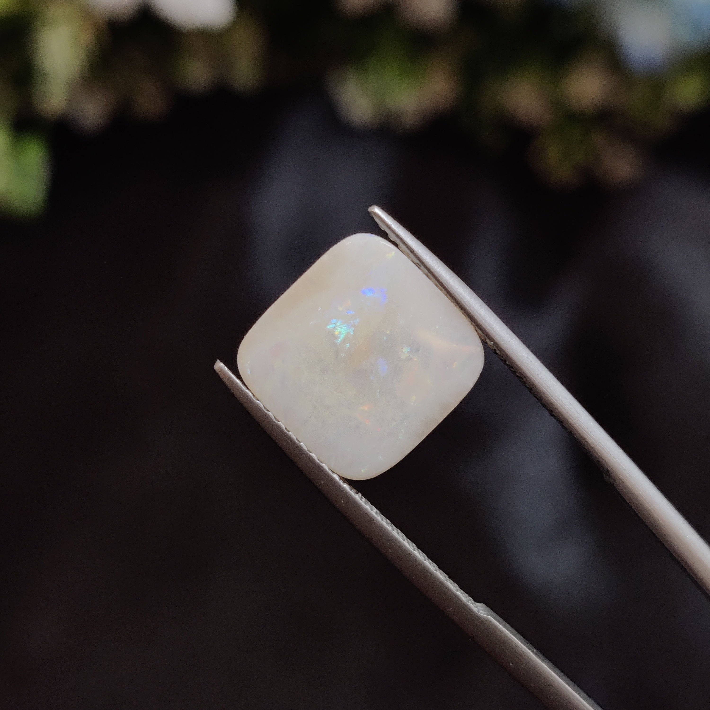 Opal | OPAL 141 | 4.27 Carat