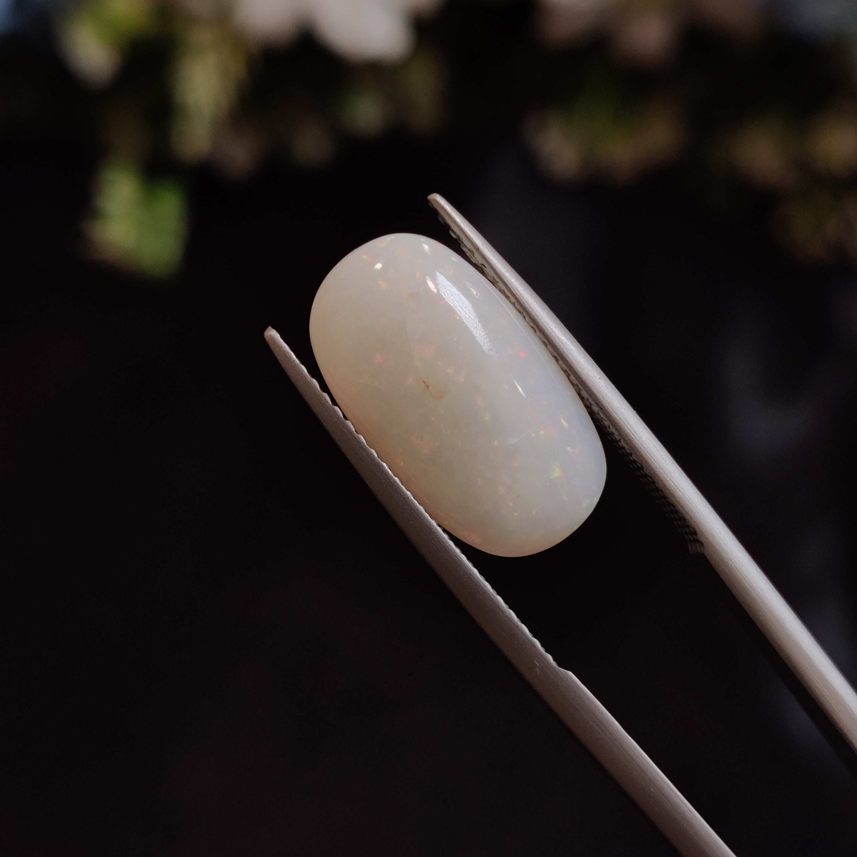 Opal | OPAL 28 | 4.59 Carat