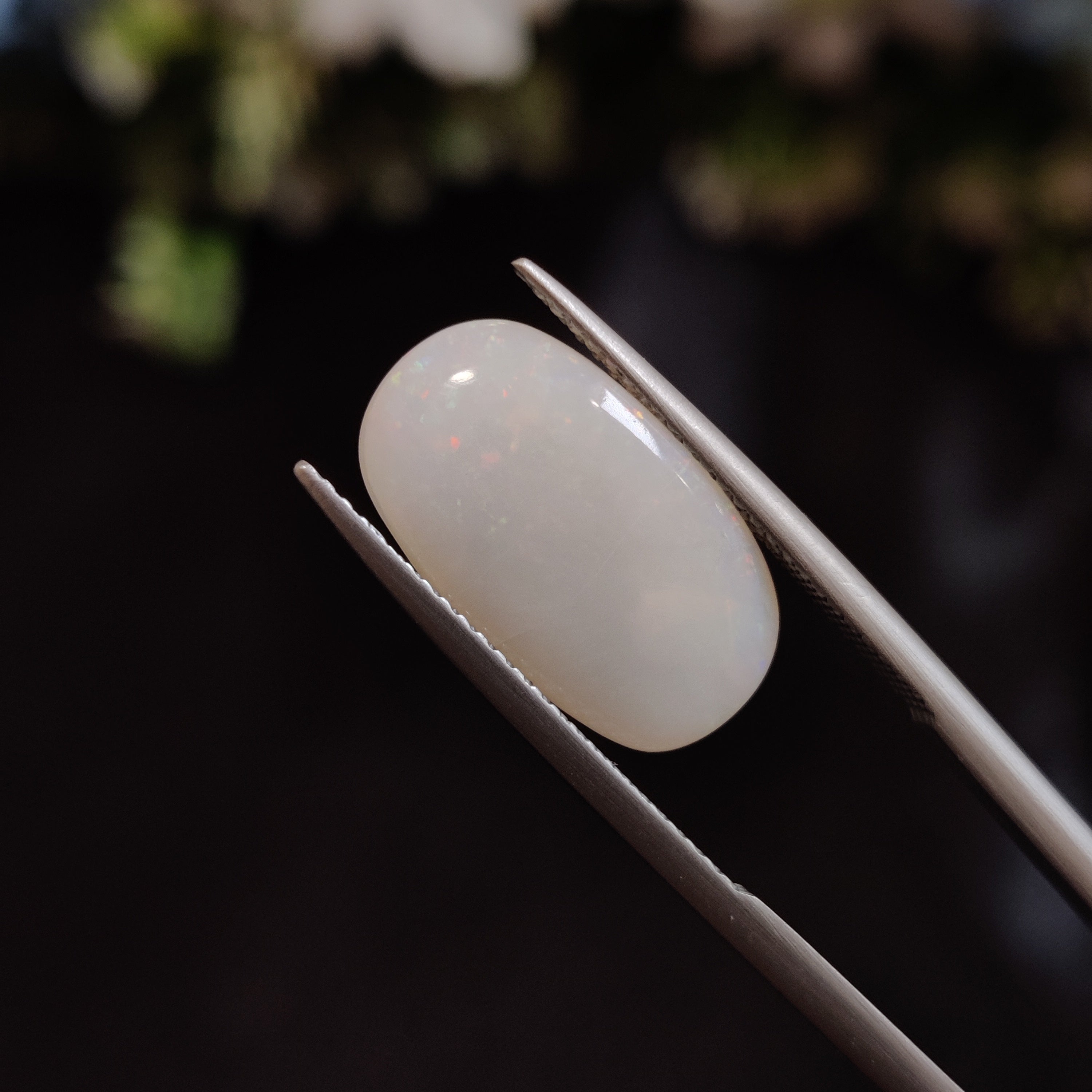 Opal | OPAL 28 | 4.59 Carat