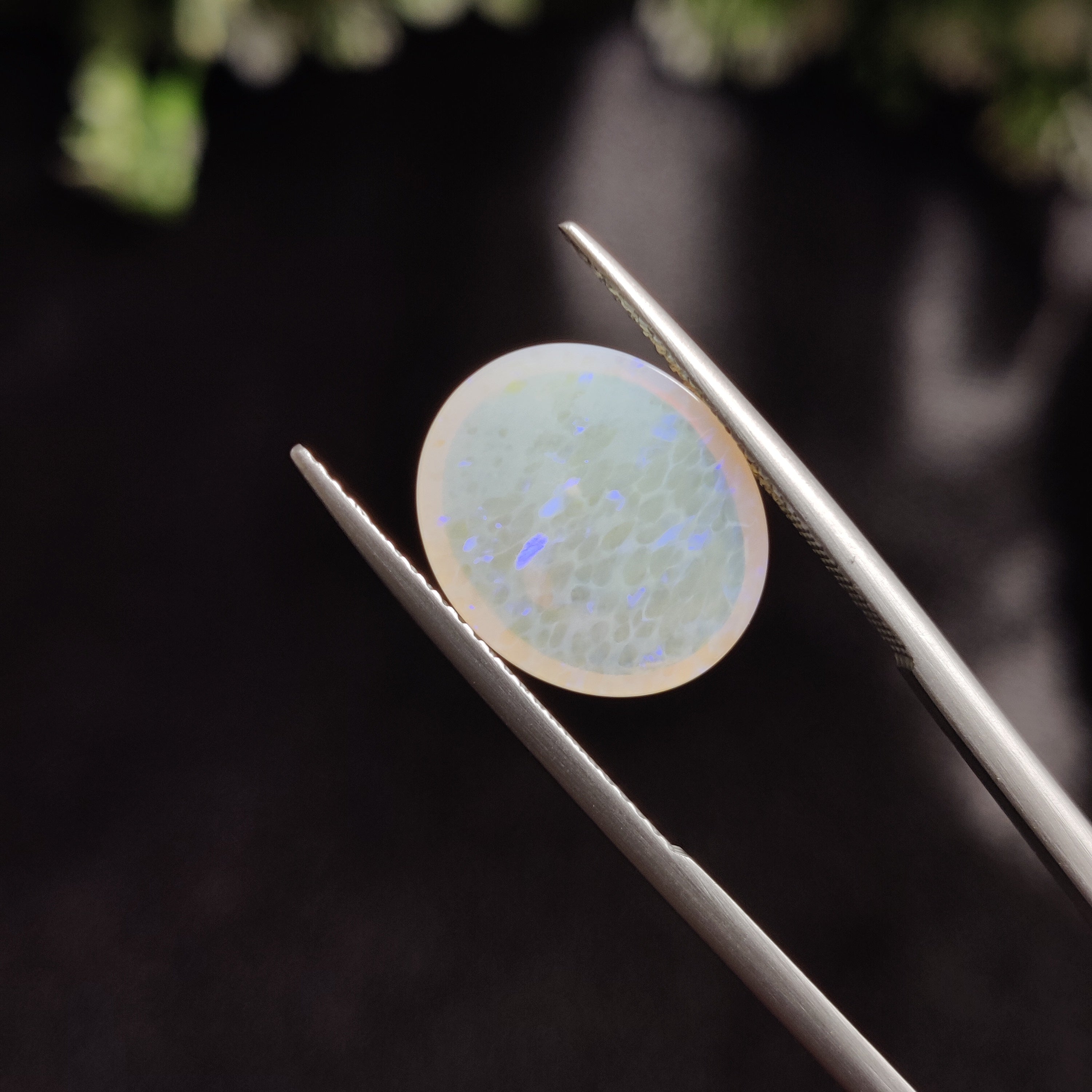 Opal | OPAL 4 | 4.48 Carat