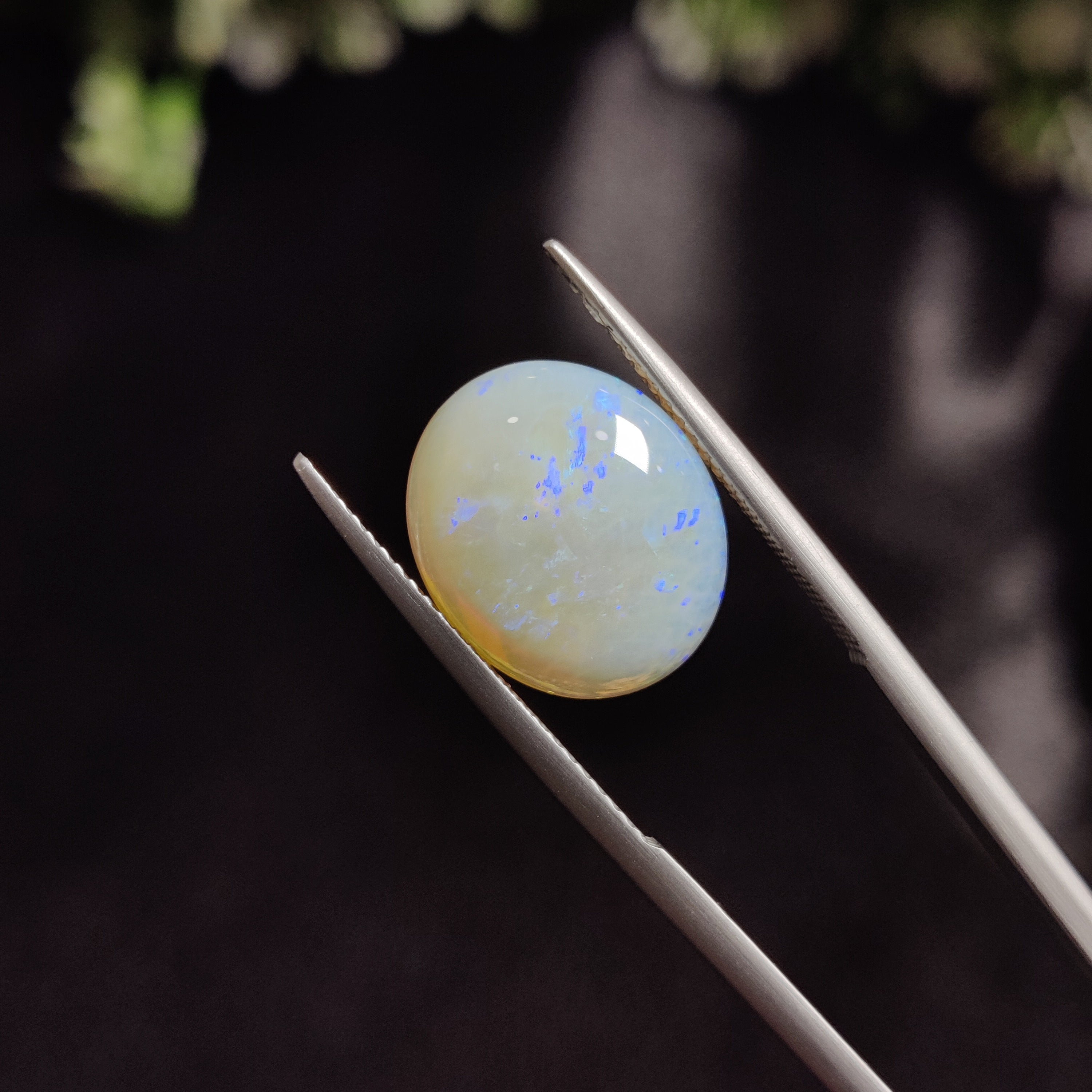 Opal | OPAL 4 | 4.48 Carat