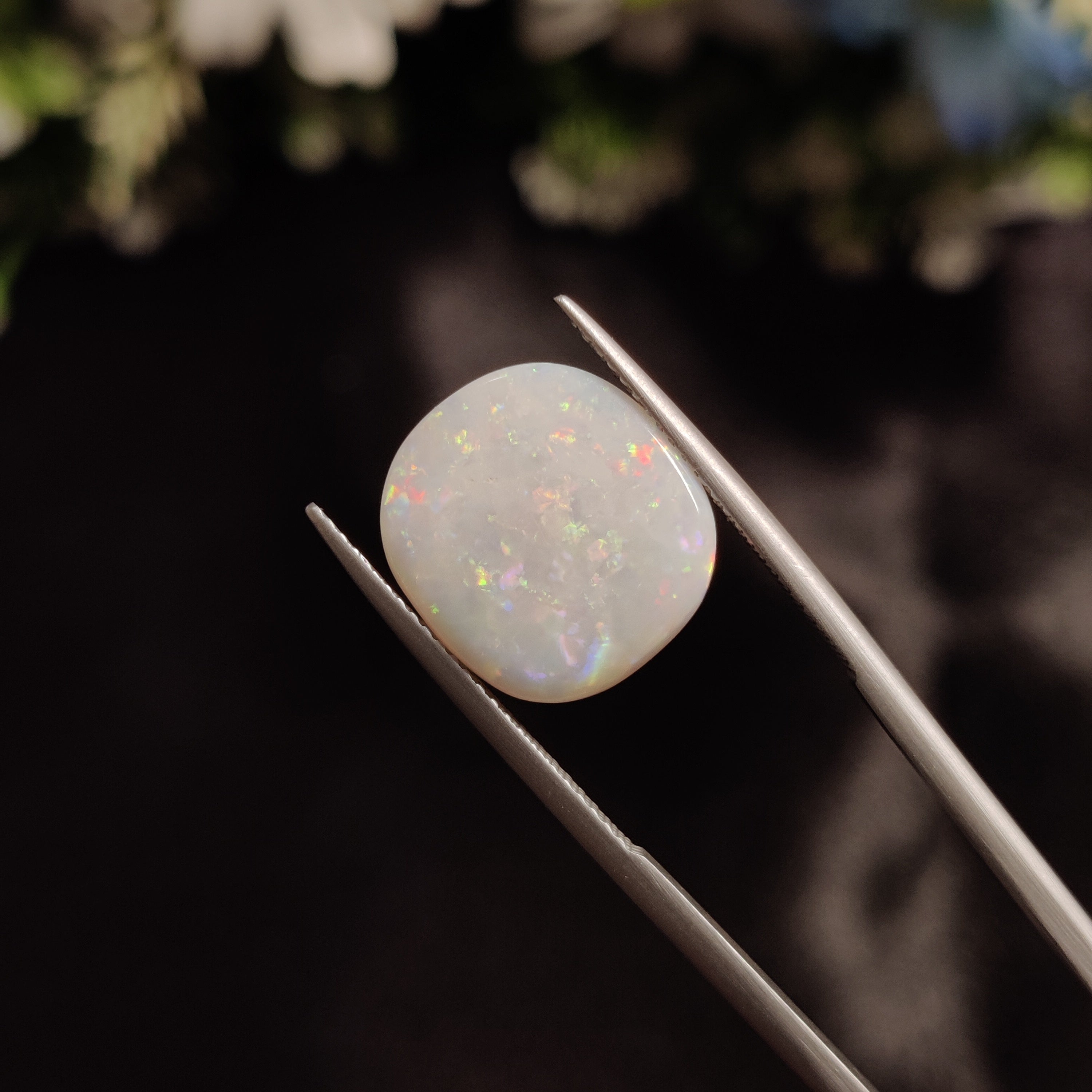 Opal | OPAL 31 | 4.65 Carat
