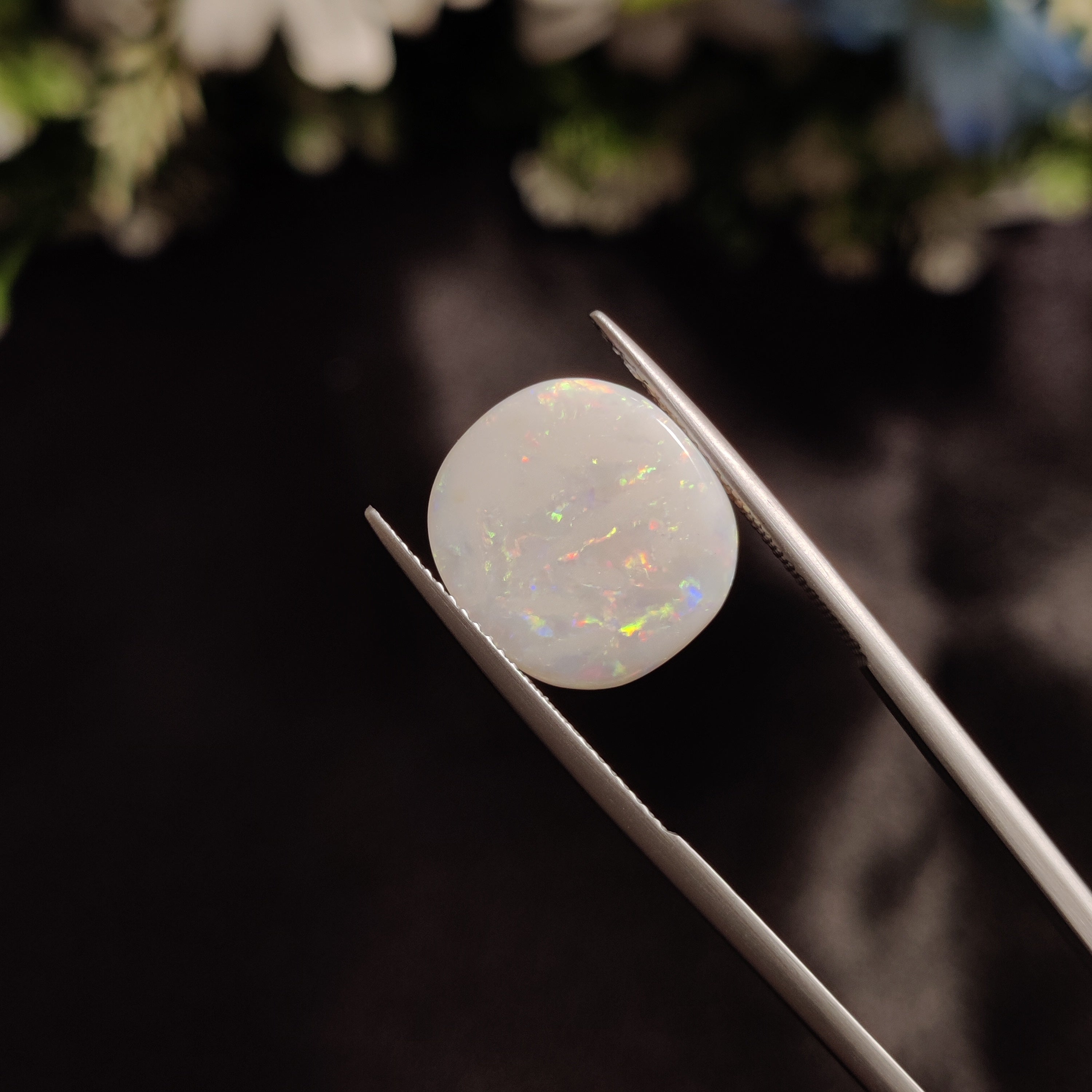 Opal | OPAL 31 | 4.65 Carat