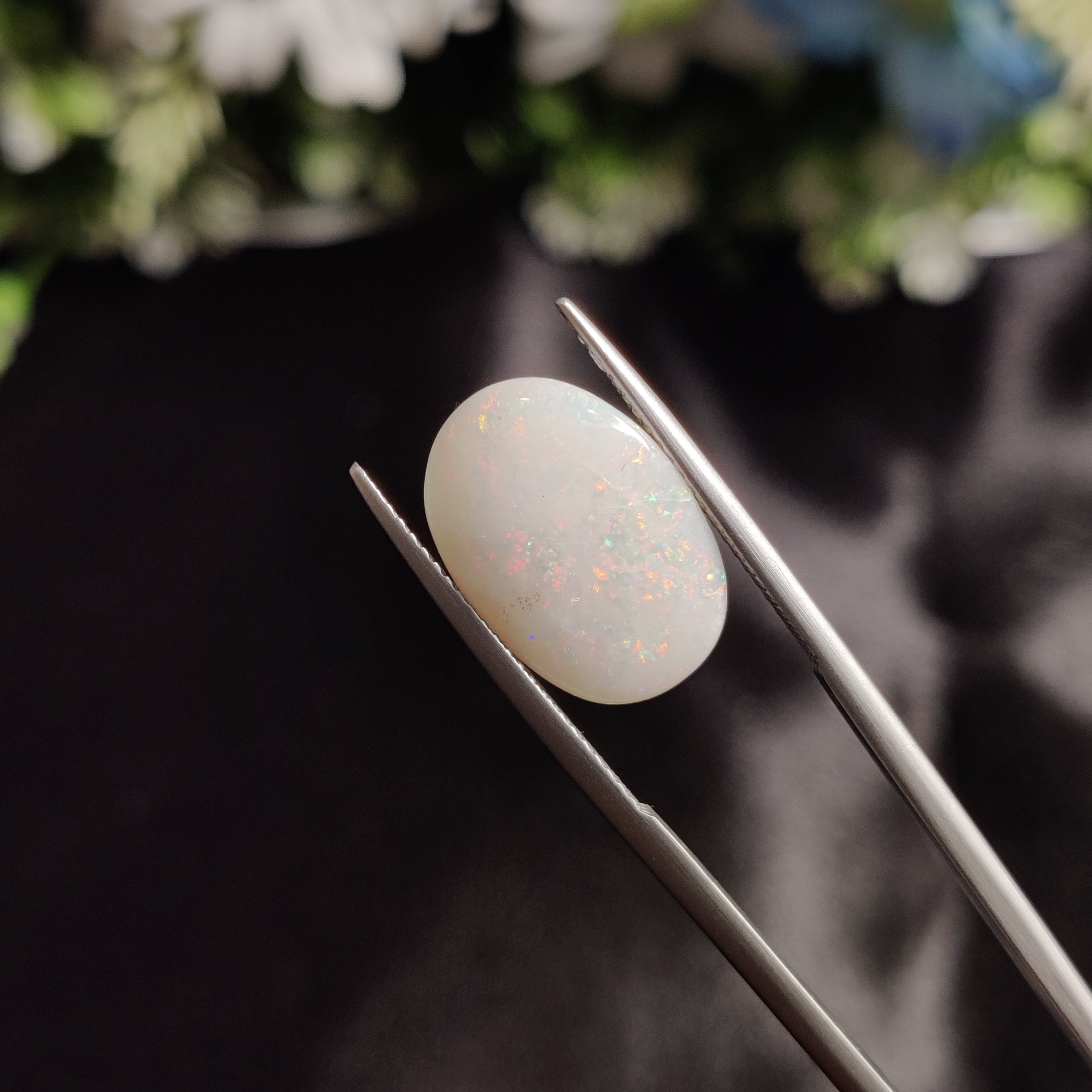 Opal | OPAL 29 | 4.6 Carat