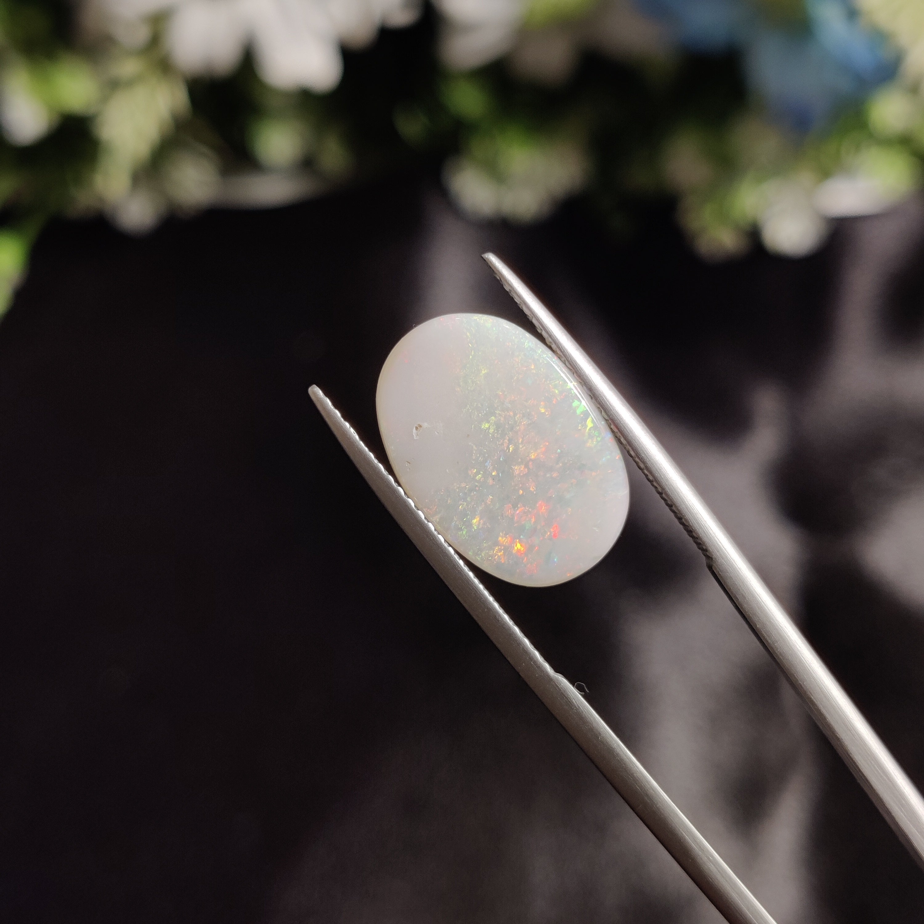 Opal | OPAL 29 | 4.6 Carat