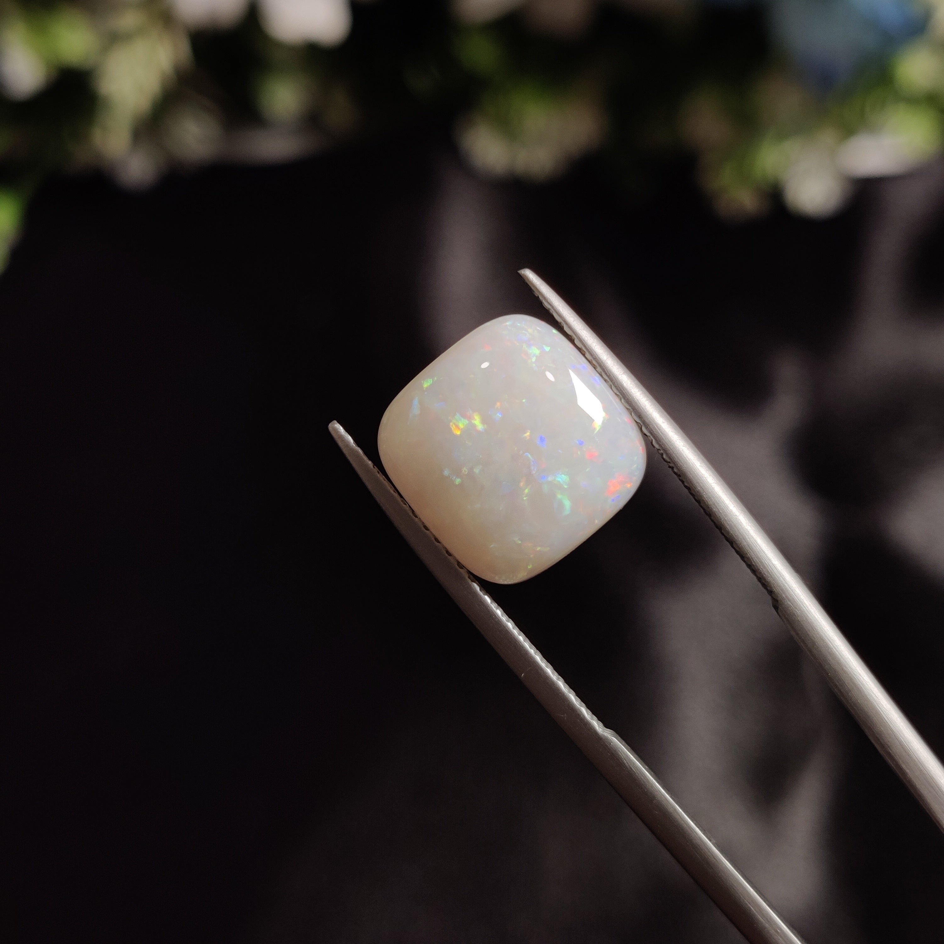 Opal | OPAL 142 | 4.31 Carat