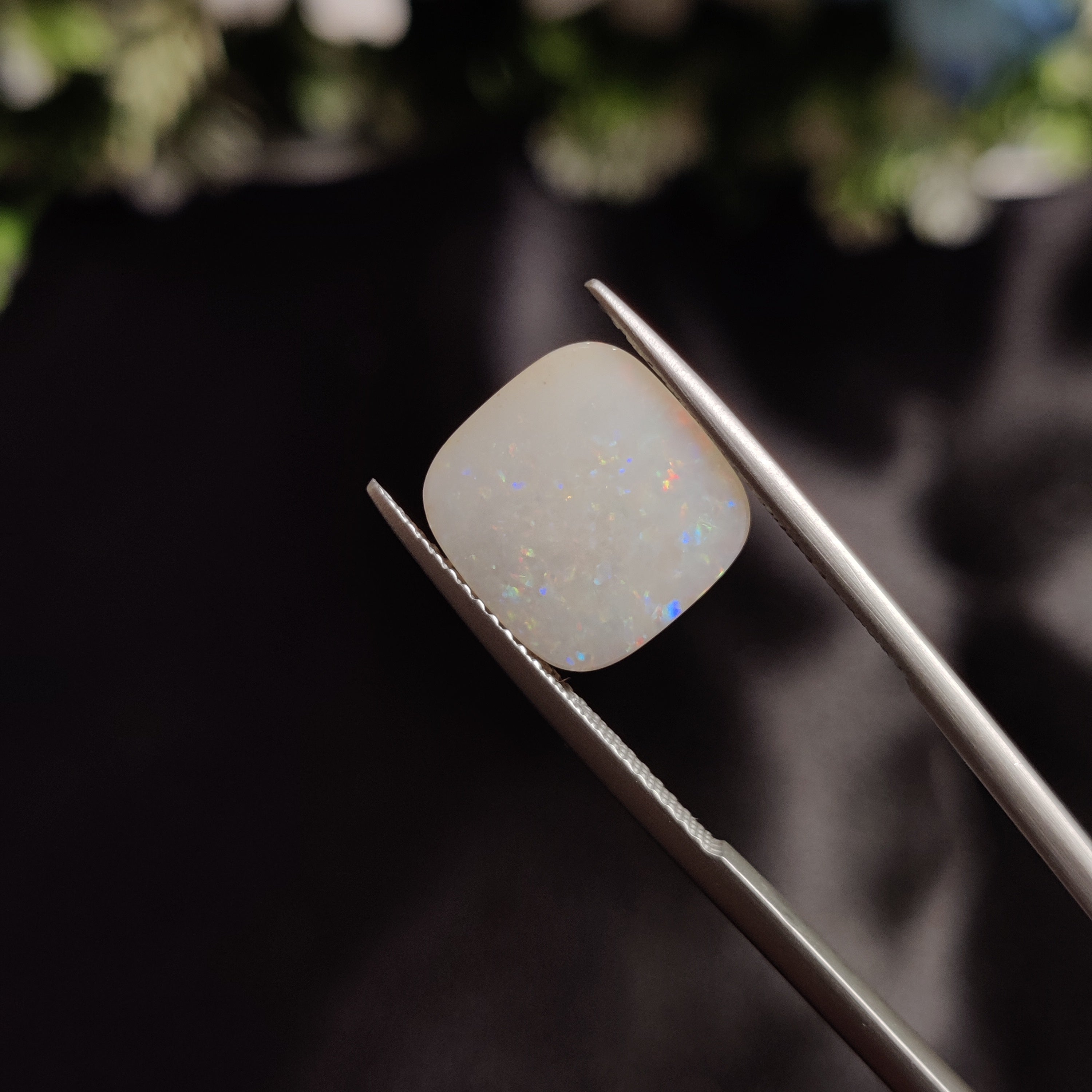 Opal | OPAL 142 | 4.31 Carat