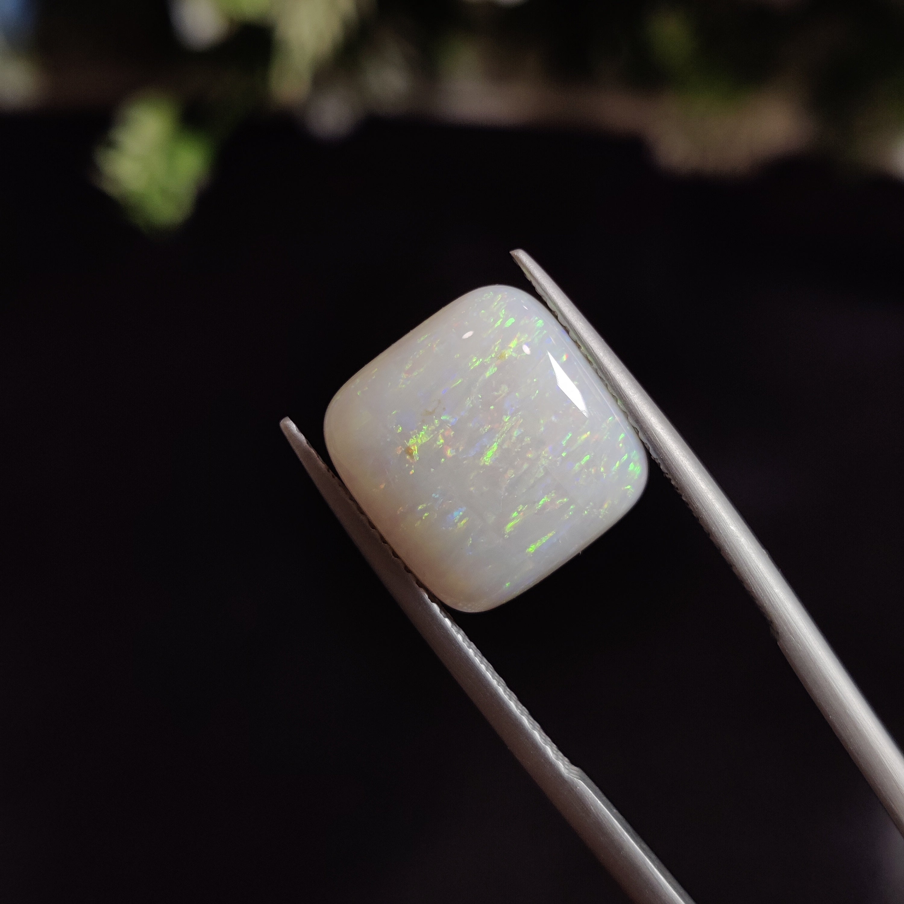 Opal | OPAL 8 | 5 Carat