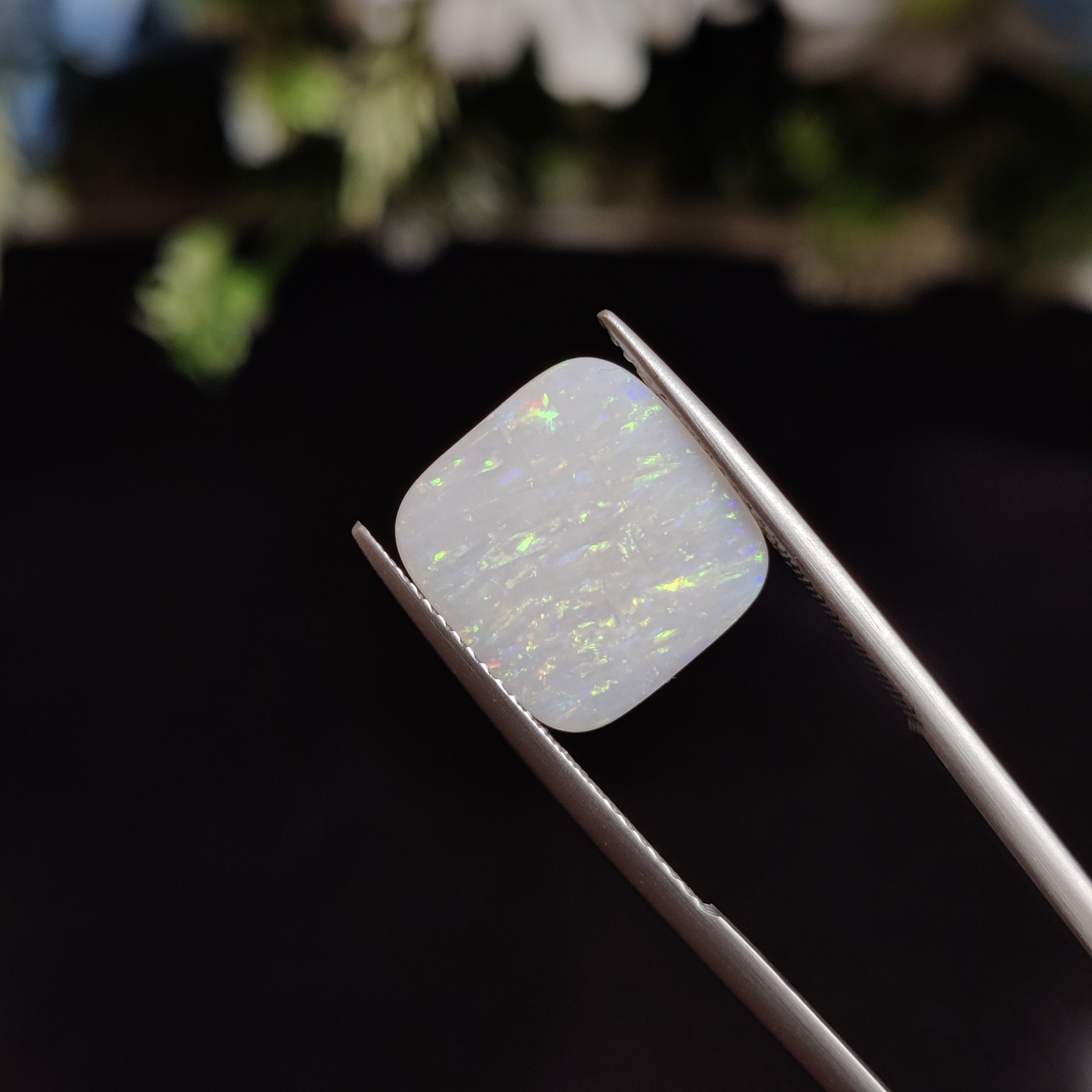 Opal | OPAL 8 | 5 Carat