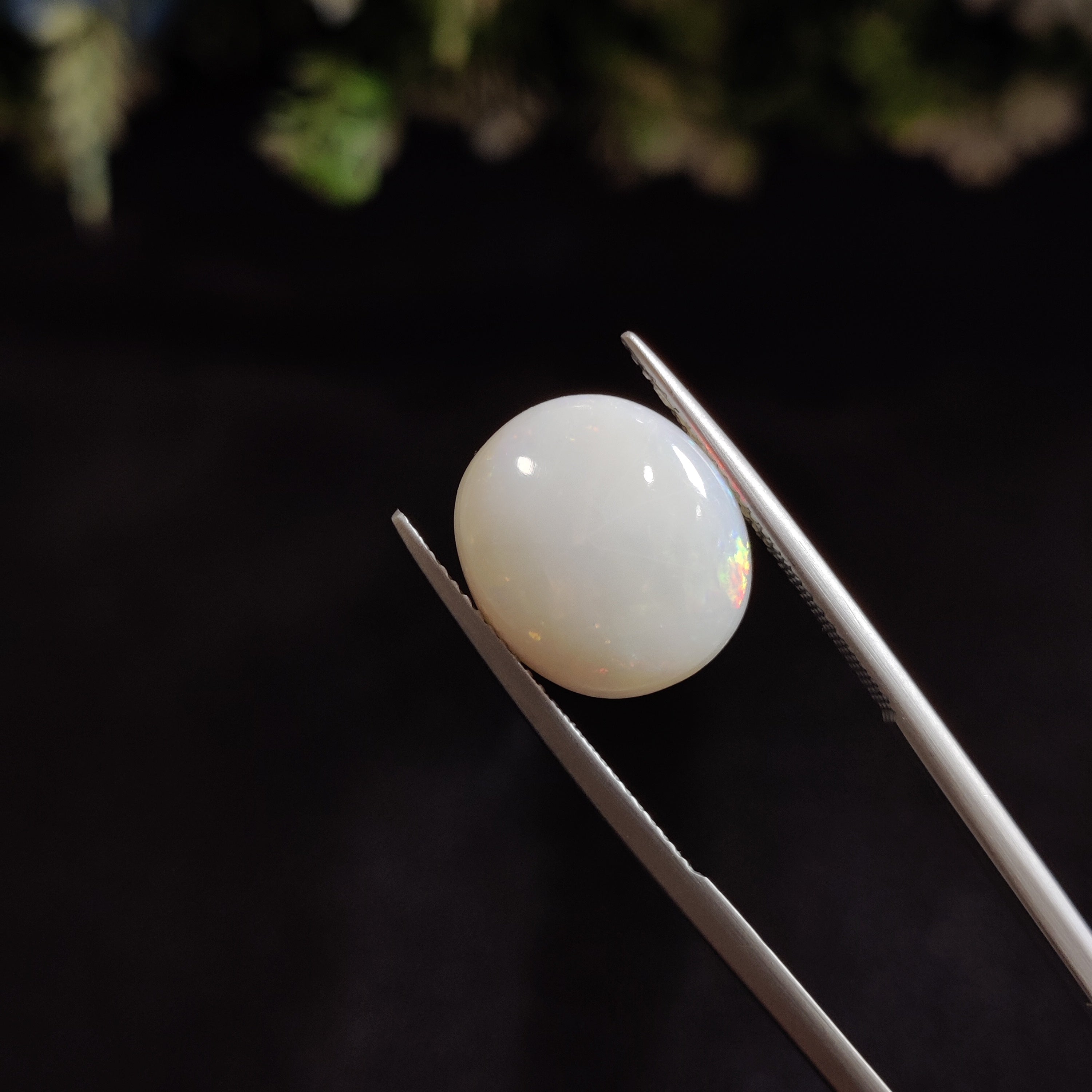 Opal | OPAL 24 | 5.2 Carat
