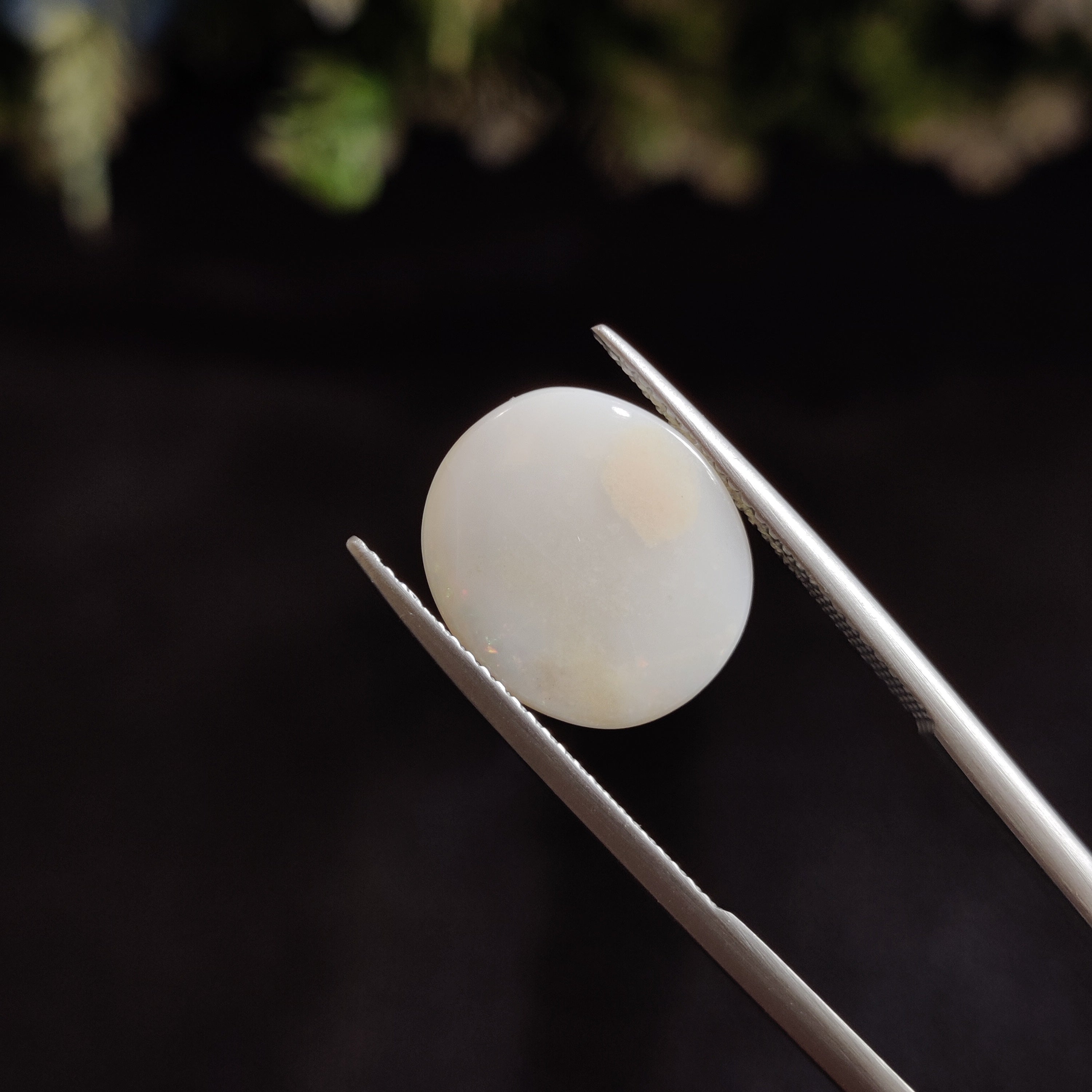 Opal | OPAL 24 | 5.2 Carat