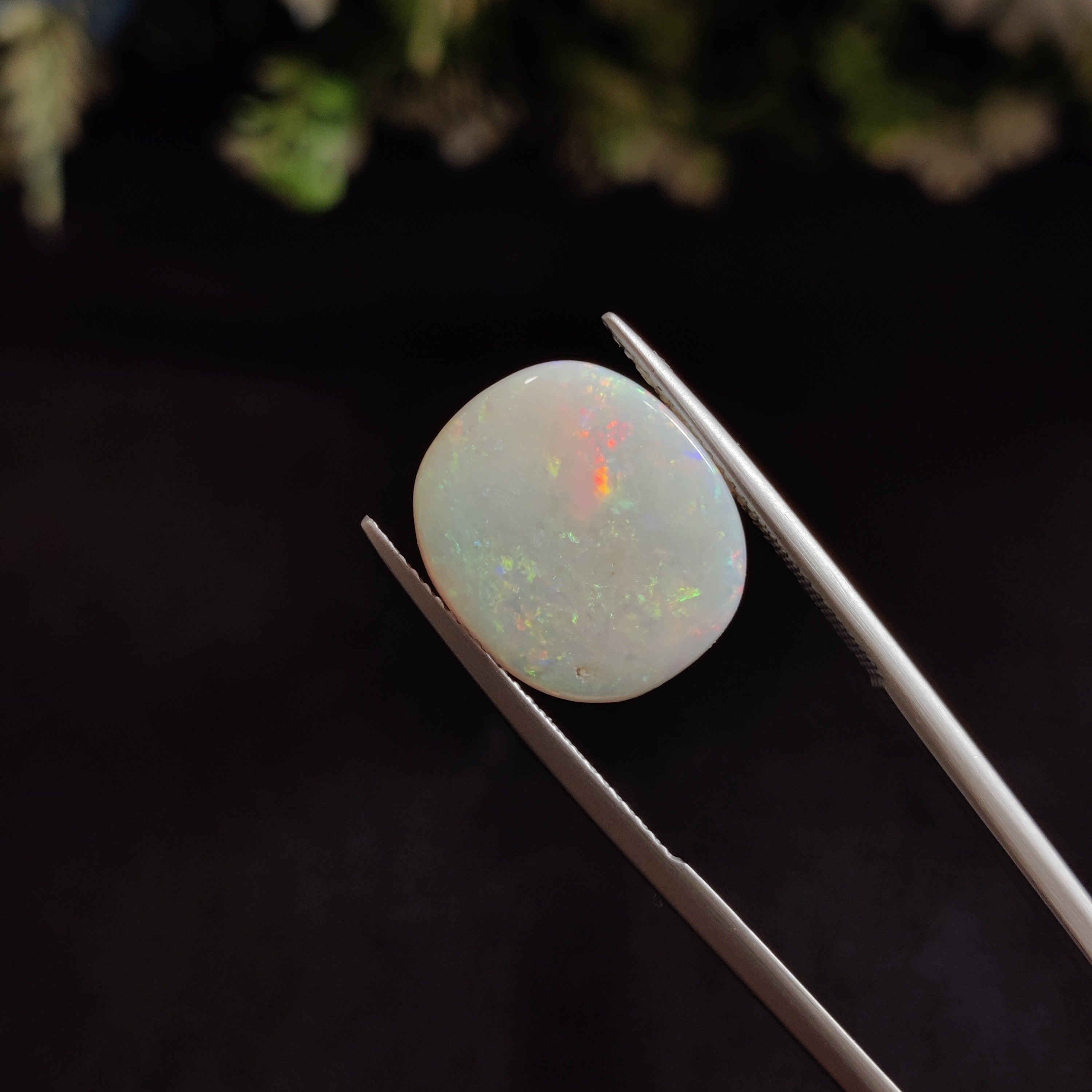 Opal | OPAL 25 | 5.23 Carat