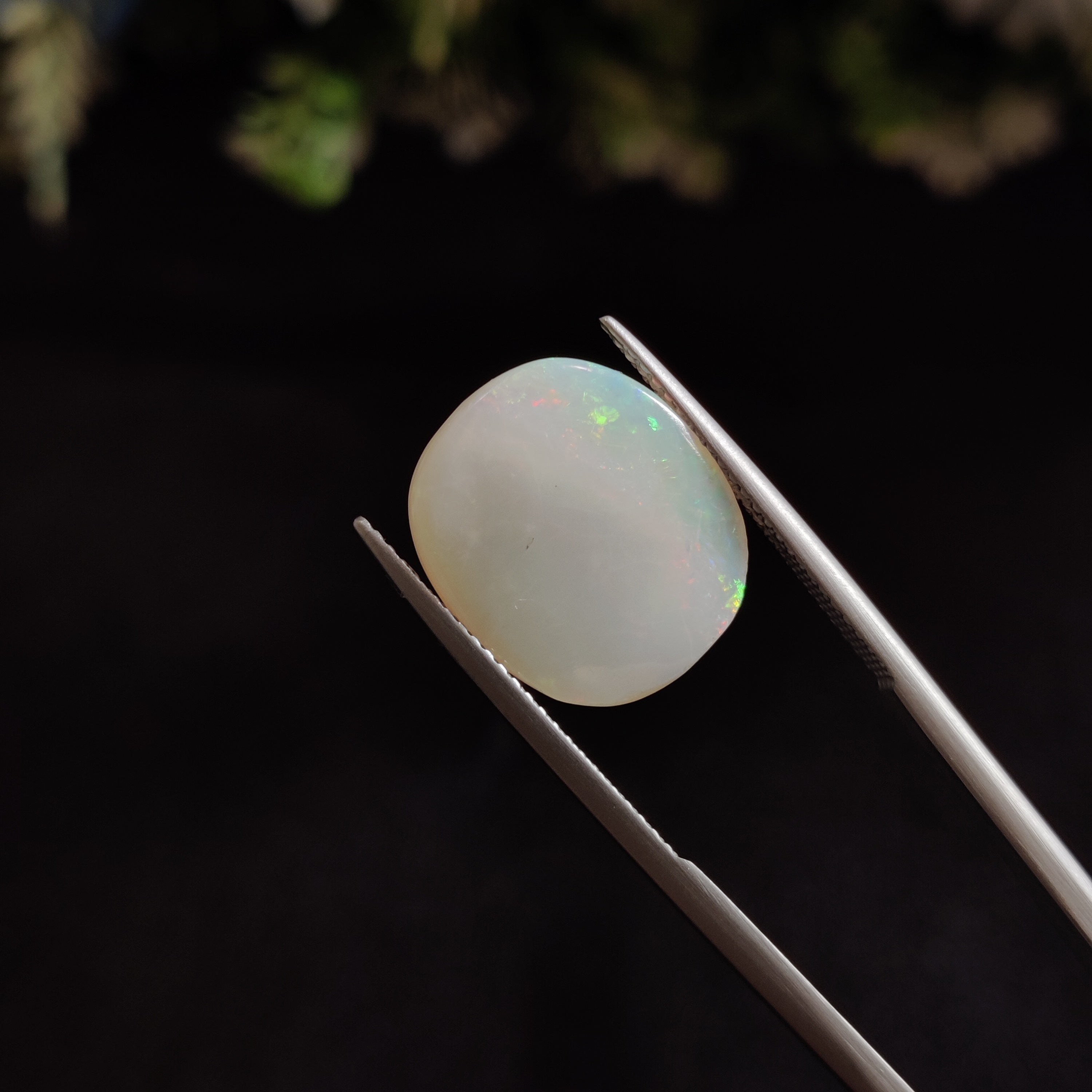 Opal | OPAL 25 | 5.23 Carat