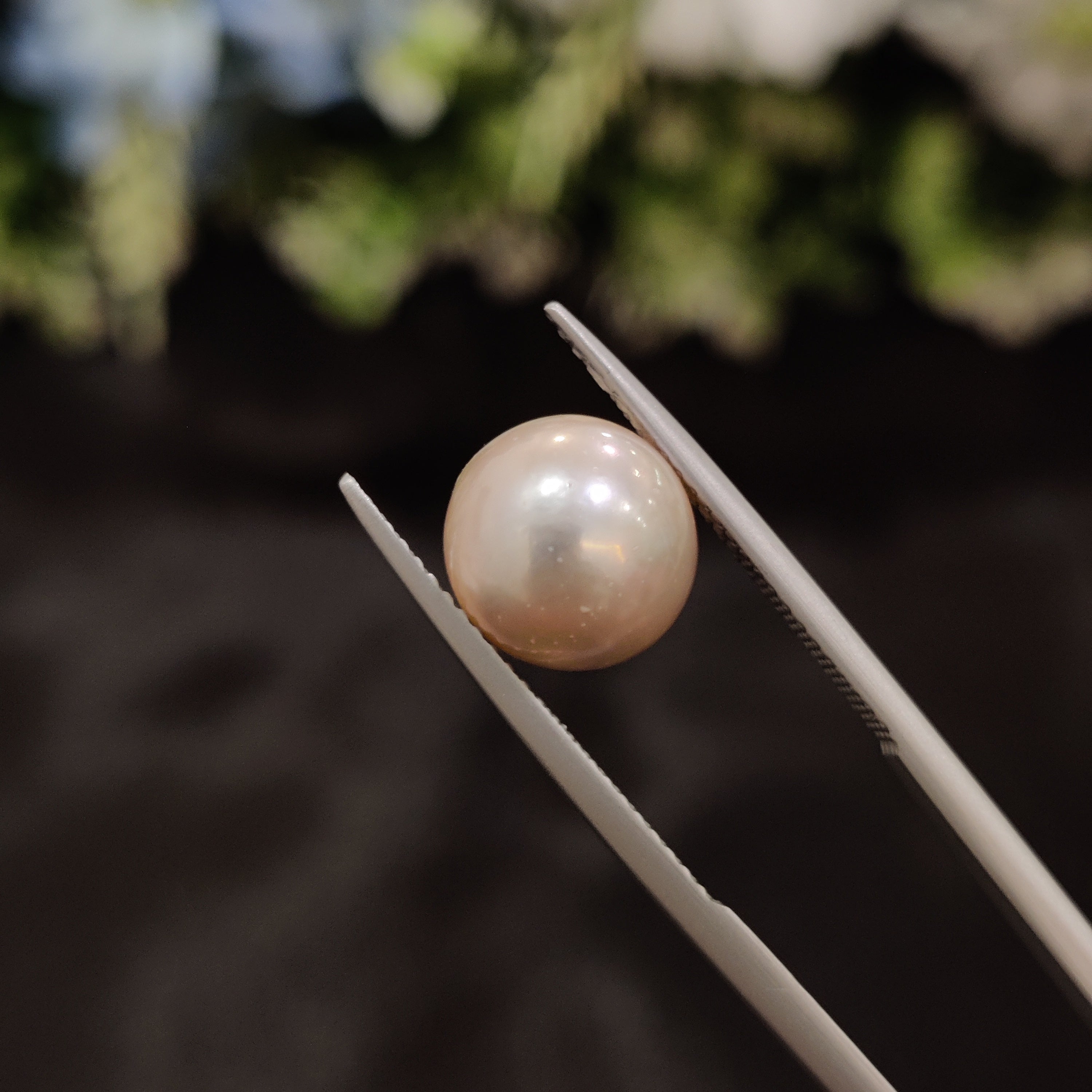 Pearl | Pearl 38 | 6.24 Carat