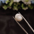 Pearl | Pearl 272 | 5.48 Carat