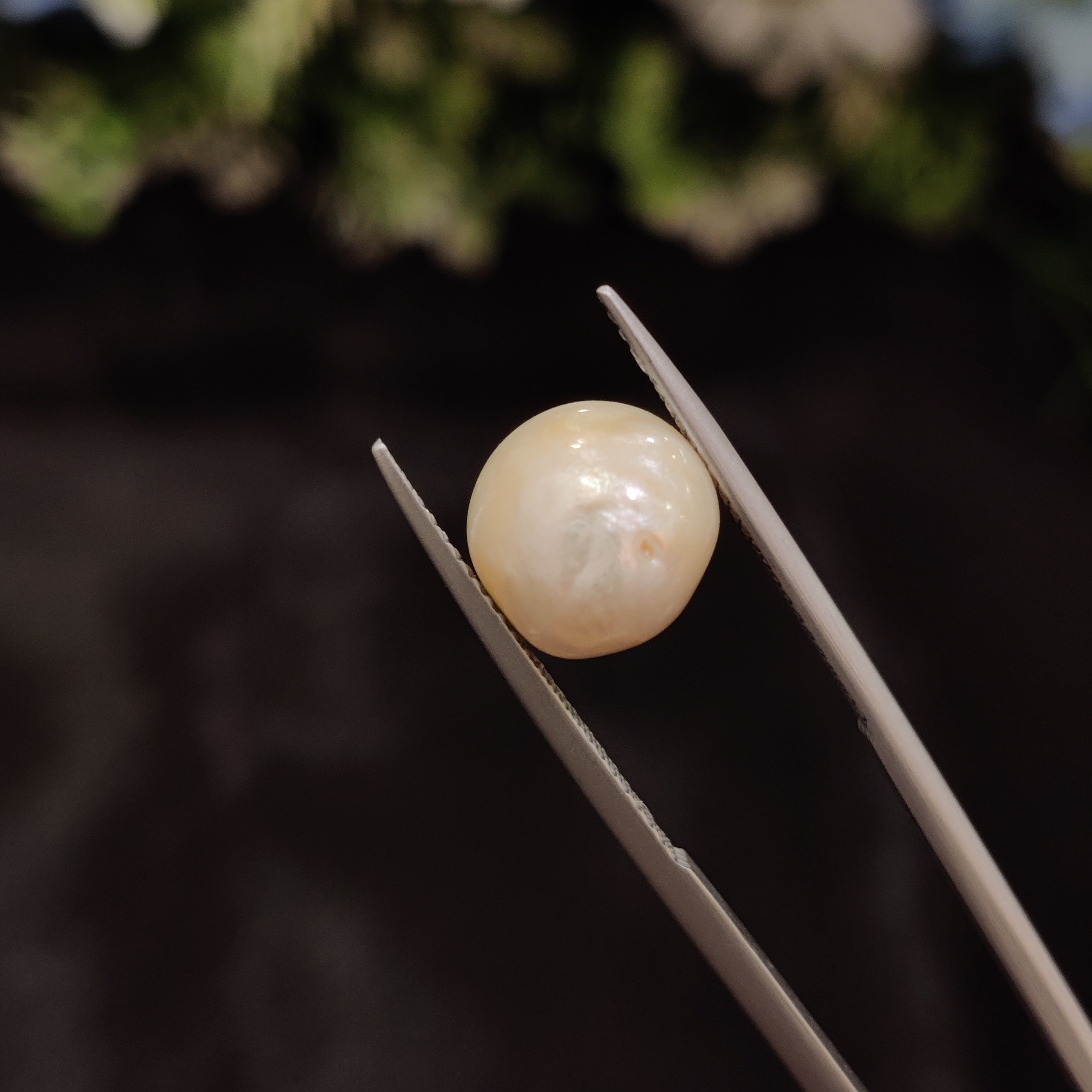 Pearl | Pearl 25 | 6.72 Carat