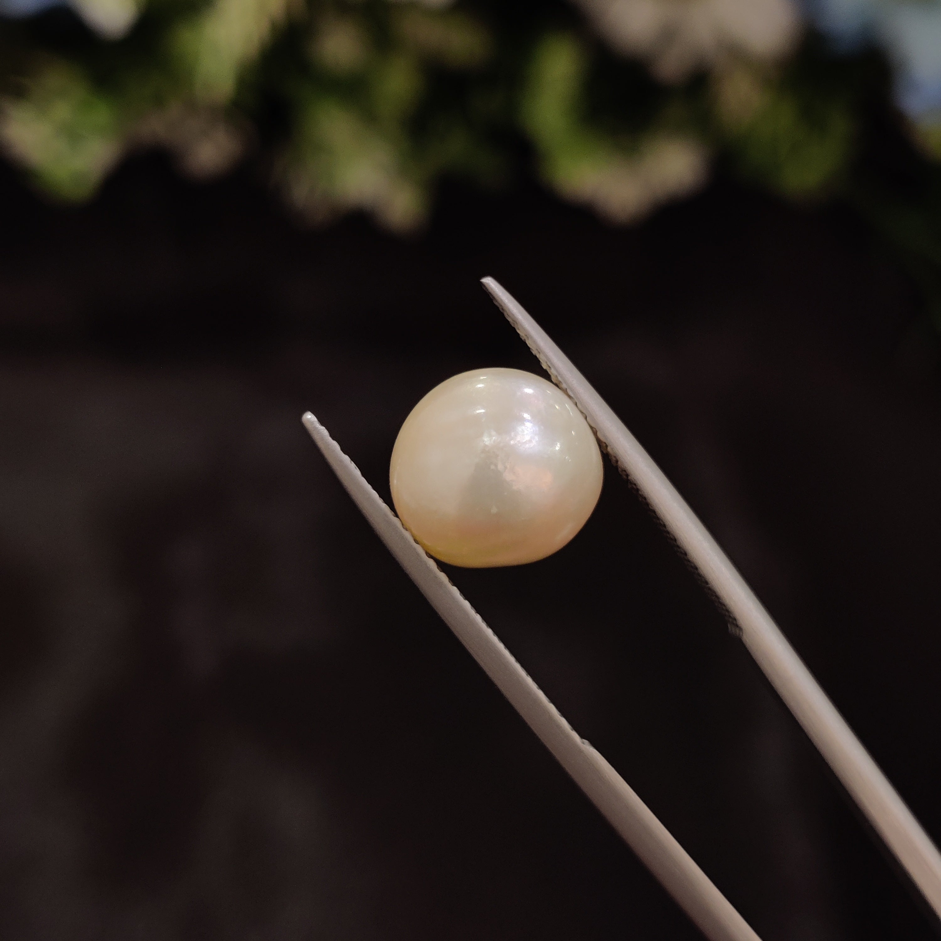 Pearl | Pearl 25 | 6.72 Carat