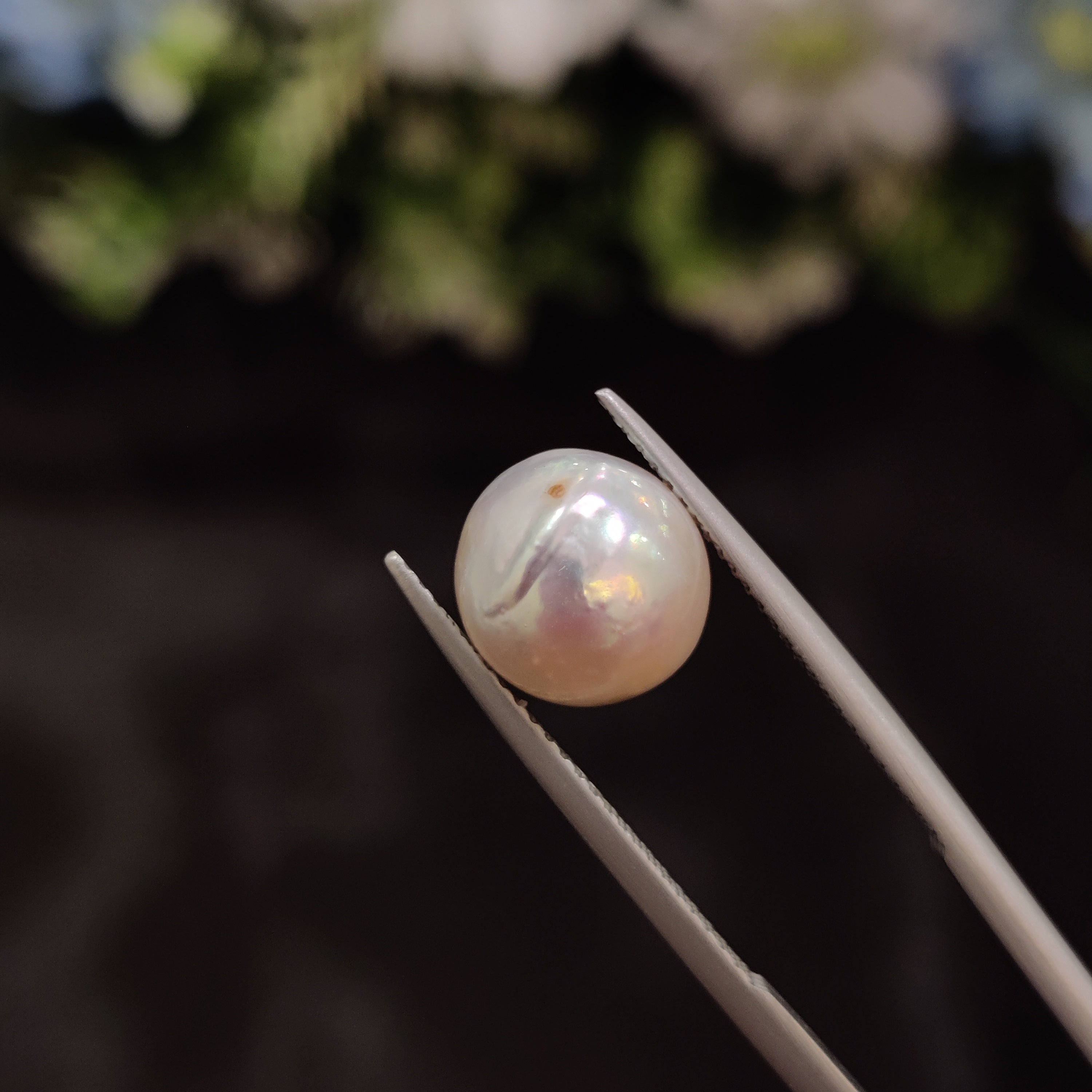 Pearl | Pearl 41 | 6.25 Carat