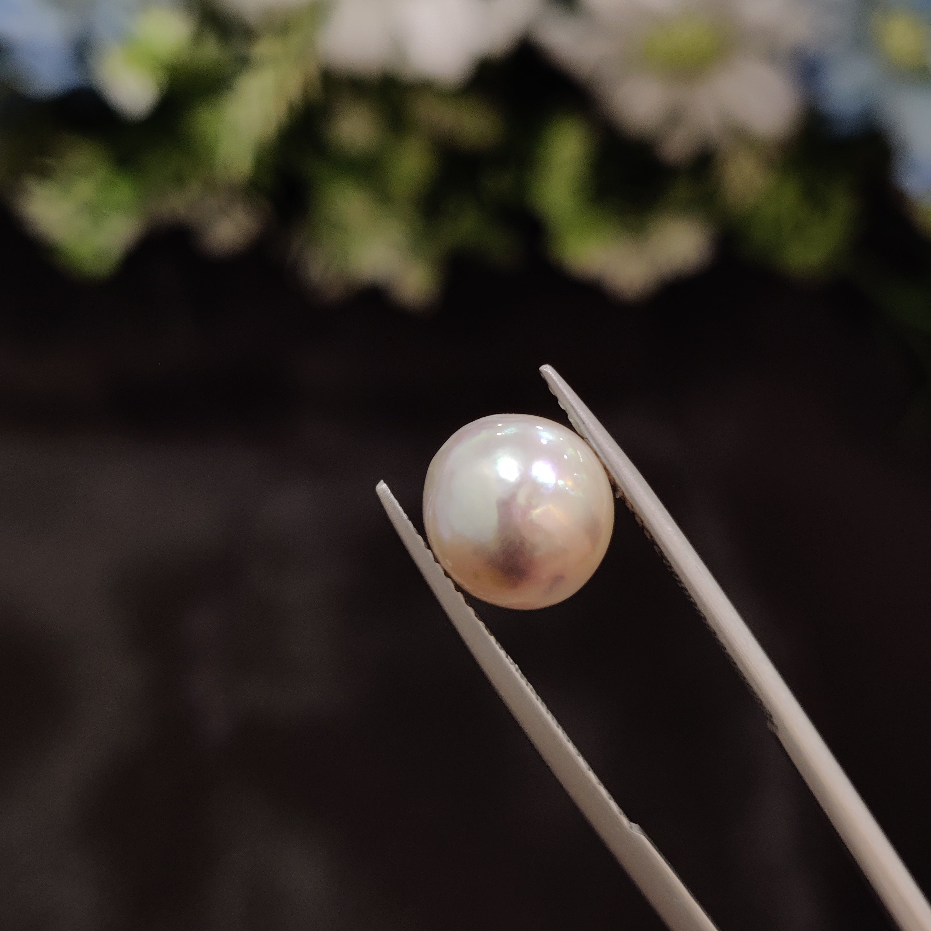 Pearl | Pearl 41 | 6.25 Carat