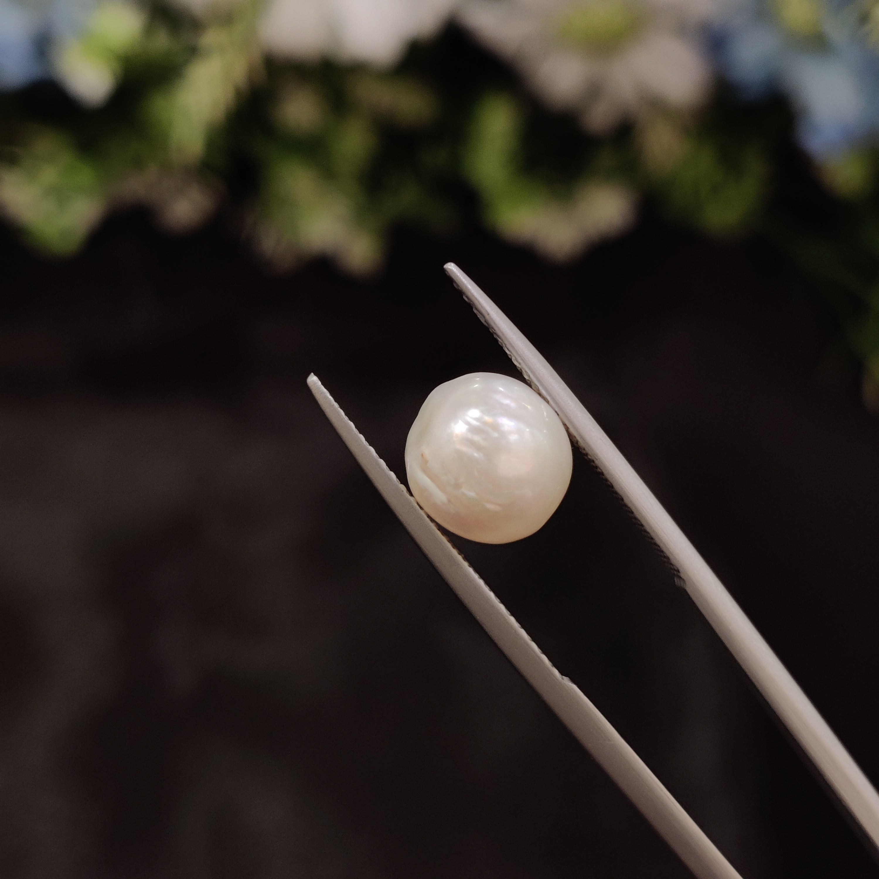 Pearl | Pearl 17 | 4.54 Carat