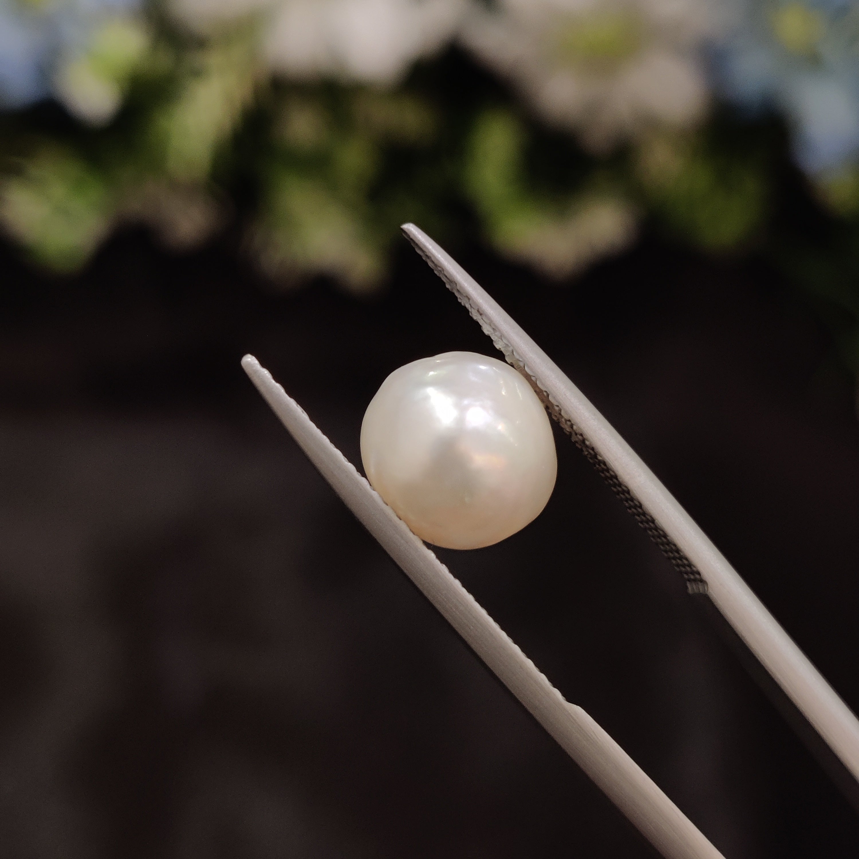 Pearl | Pearl 17 | 4.54 Carat