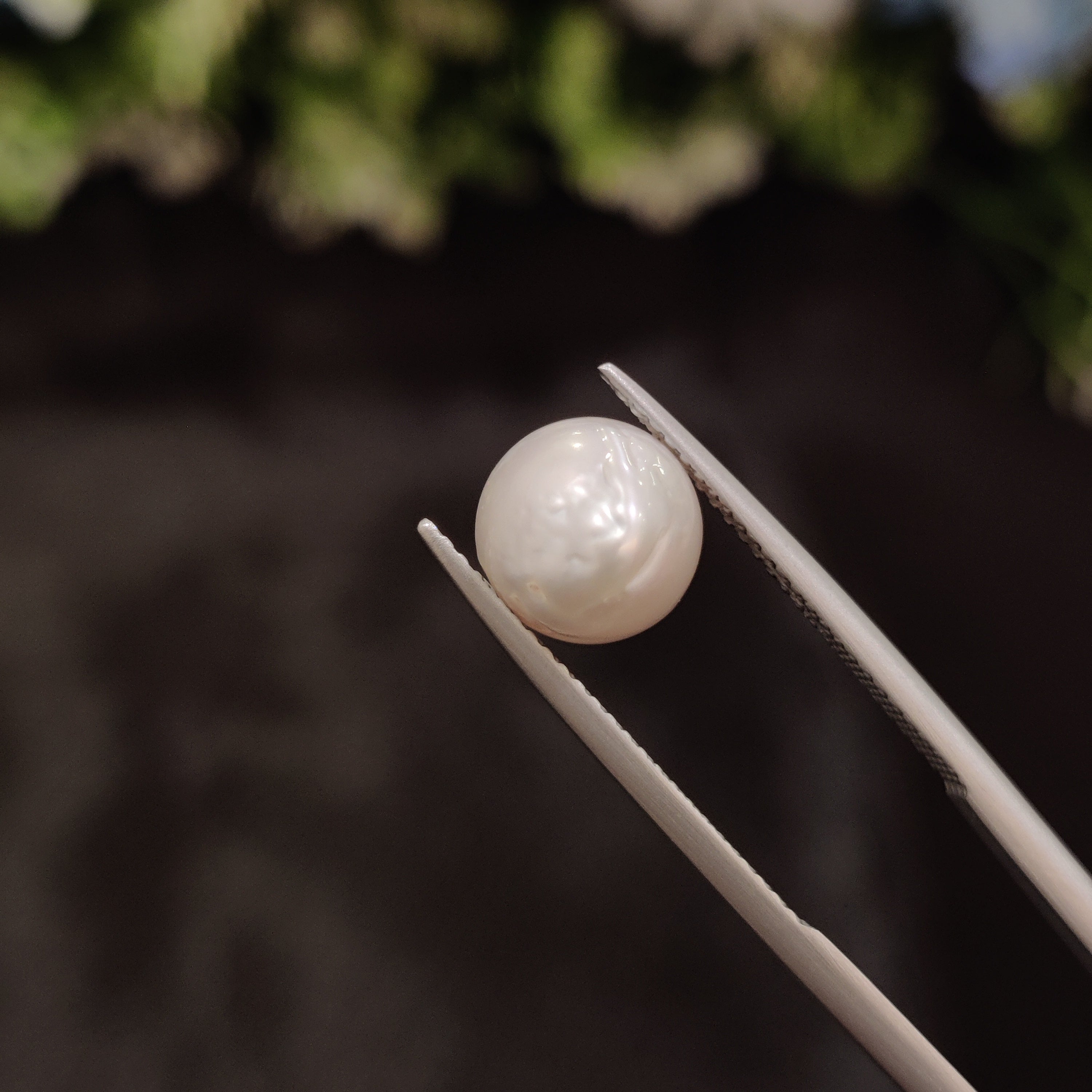 Pearl | Pearl 24 | 4.91 Carat