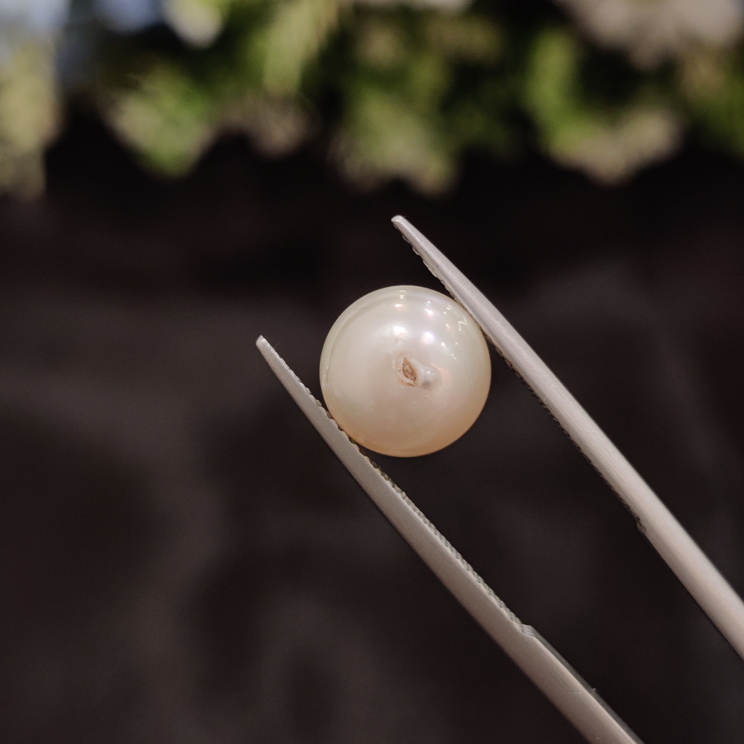 Pearl | Pearl 23 | 4.76 Carat