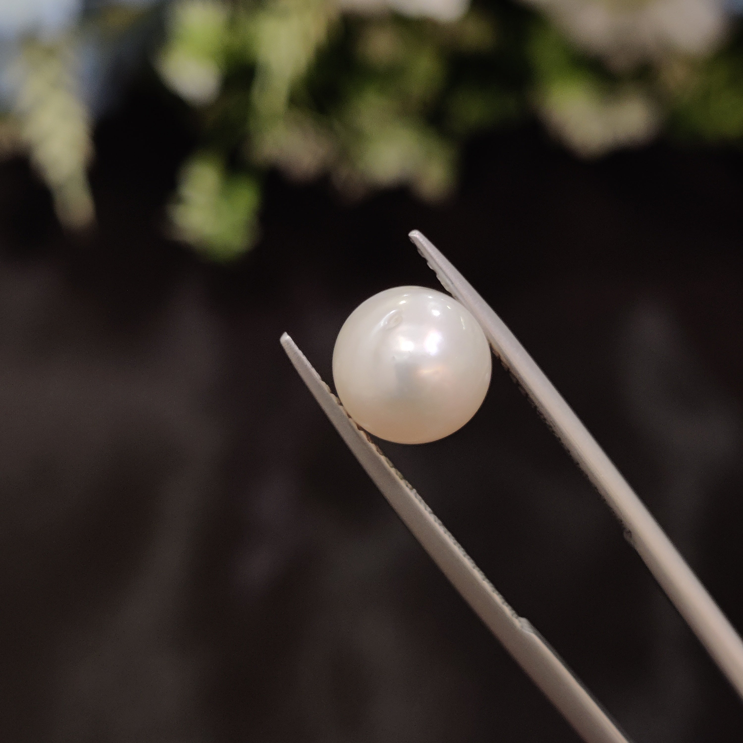 Pearl | Pearl 26 | 4.68 Carat