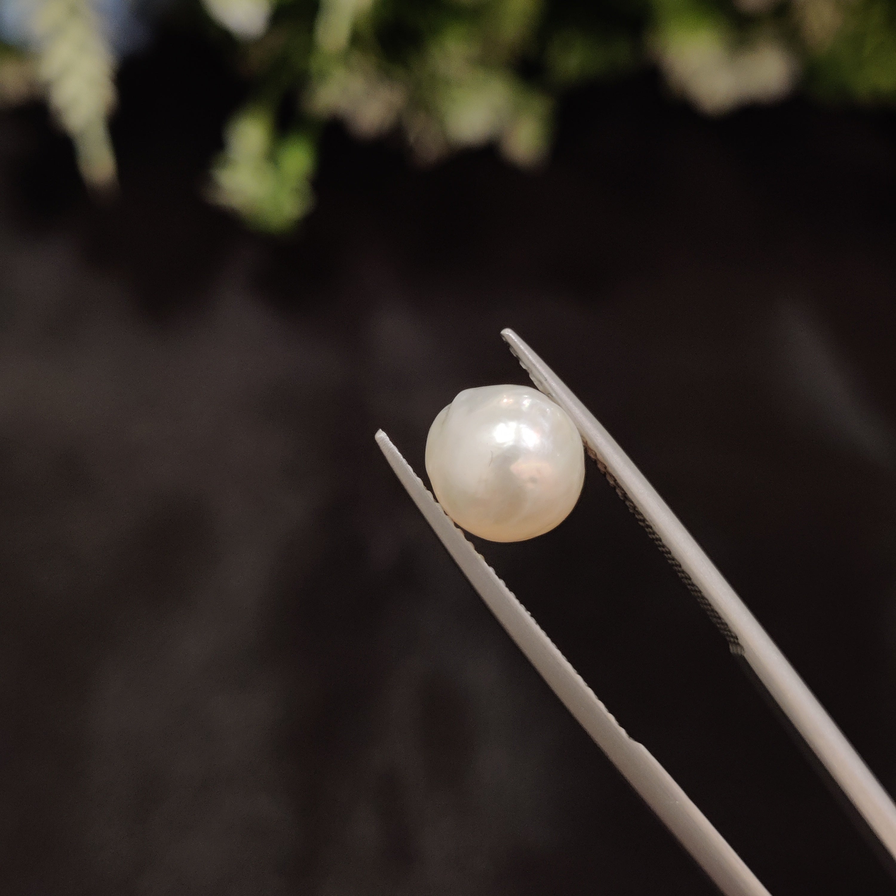Pearl | Pearl 16 | 4.21 Carat