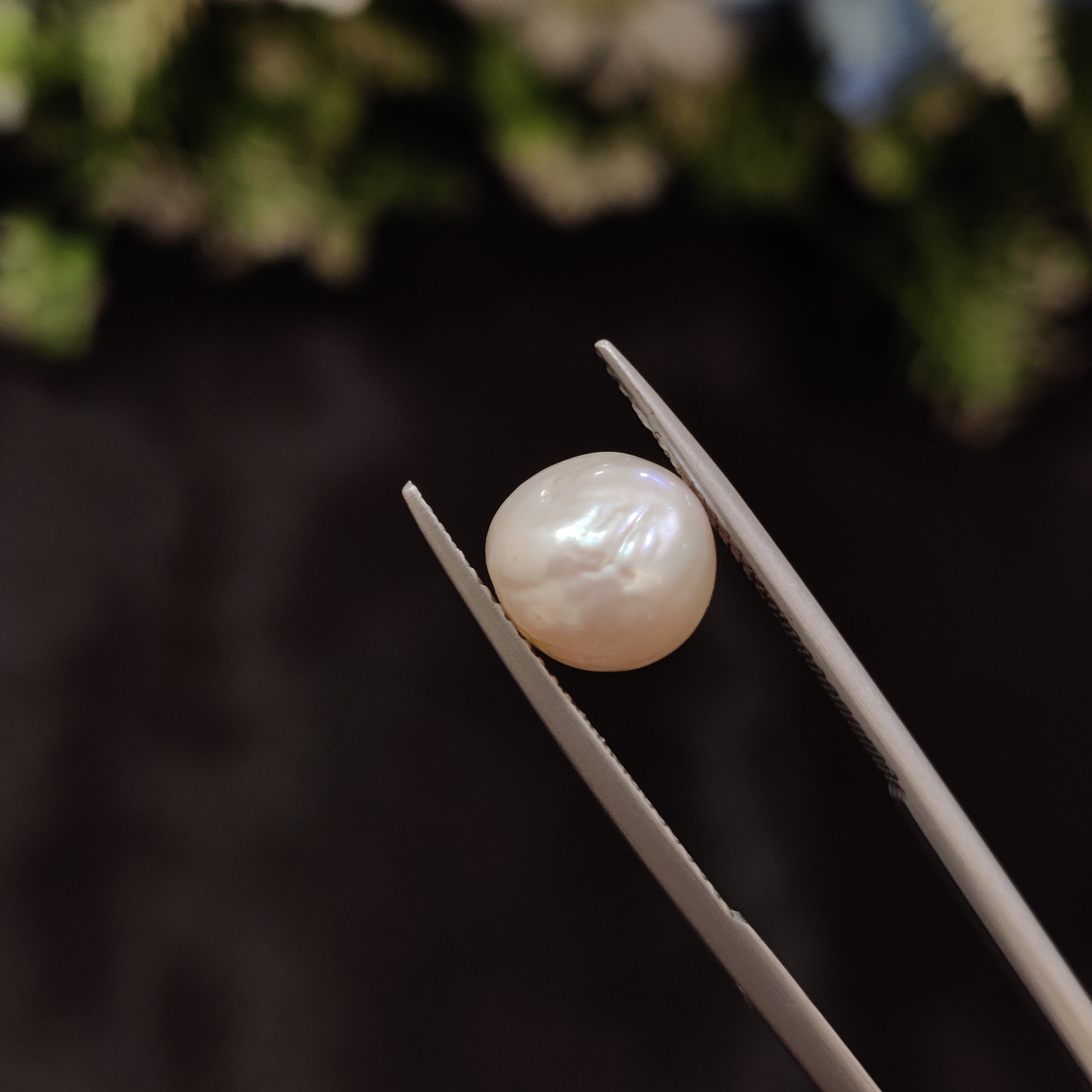 Pearl | Pearl 9 | 4.55 Carat