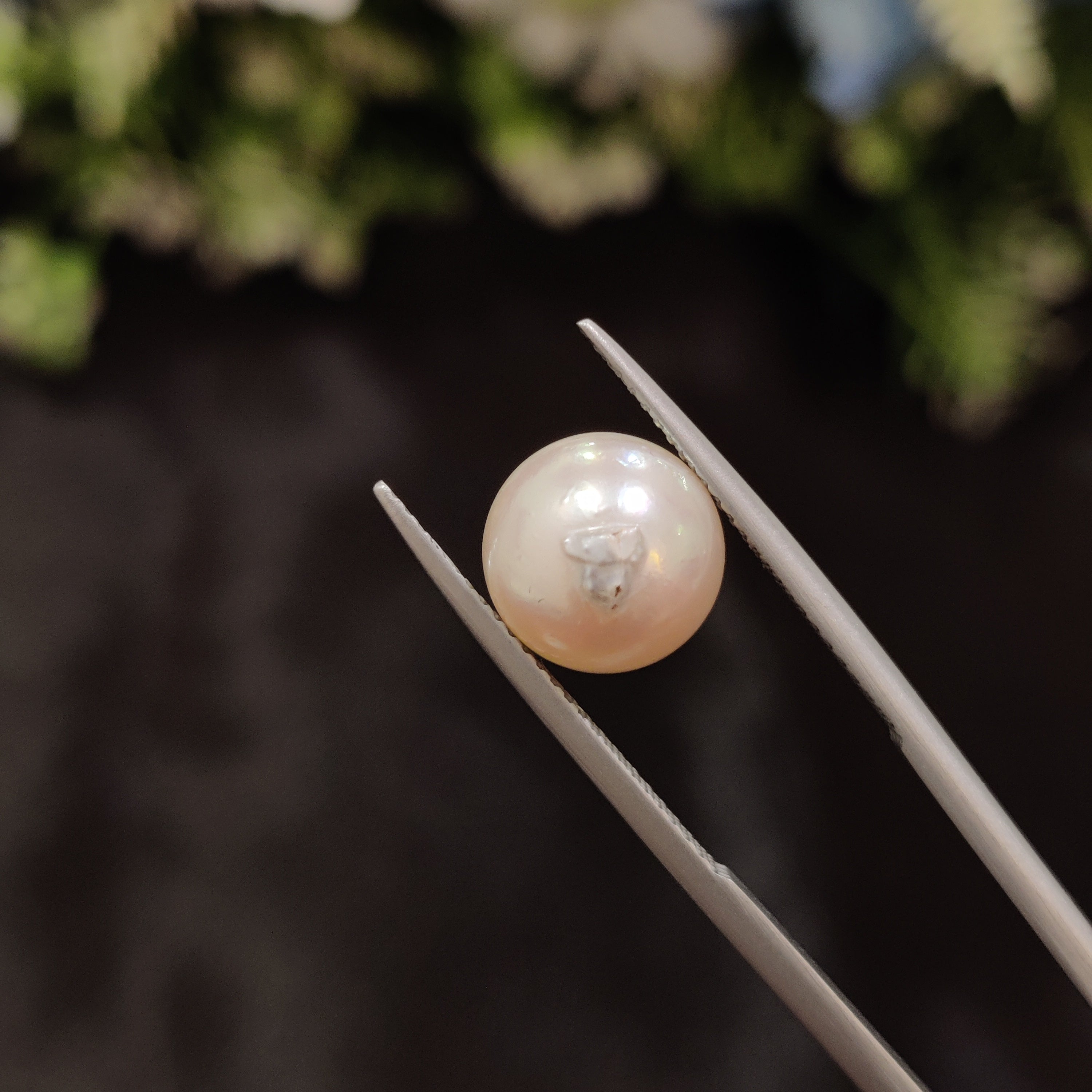 Pearl | Pearl 36 | 6.66 Carat