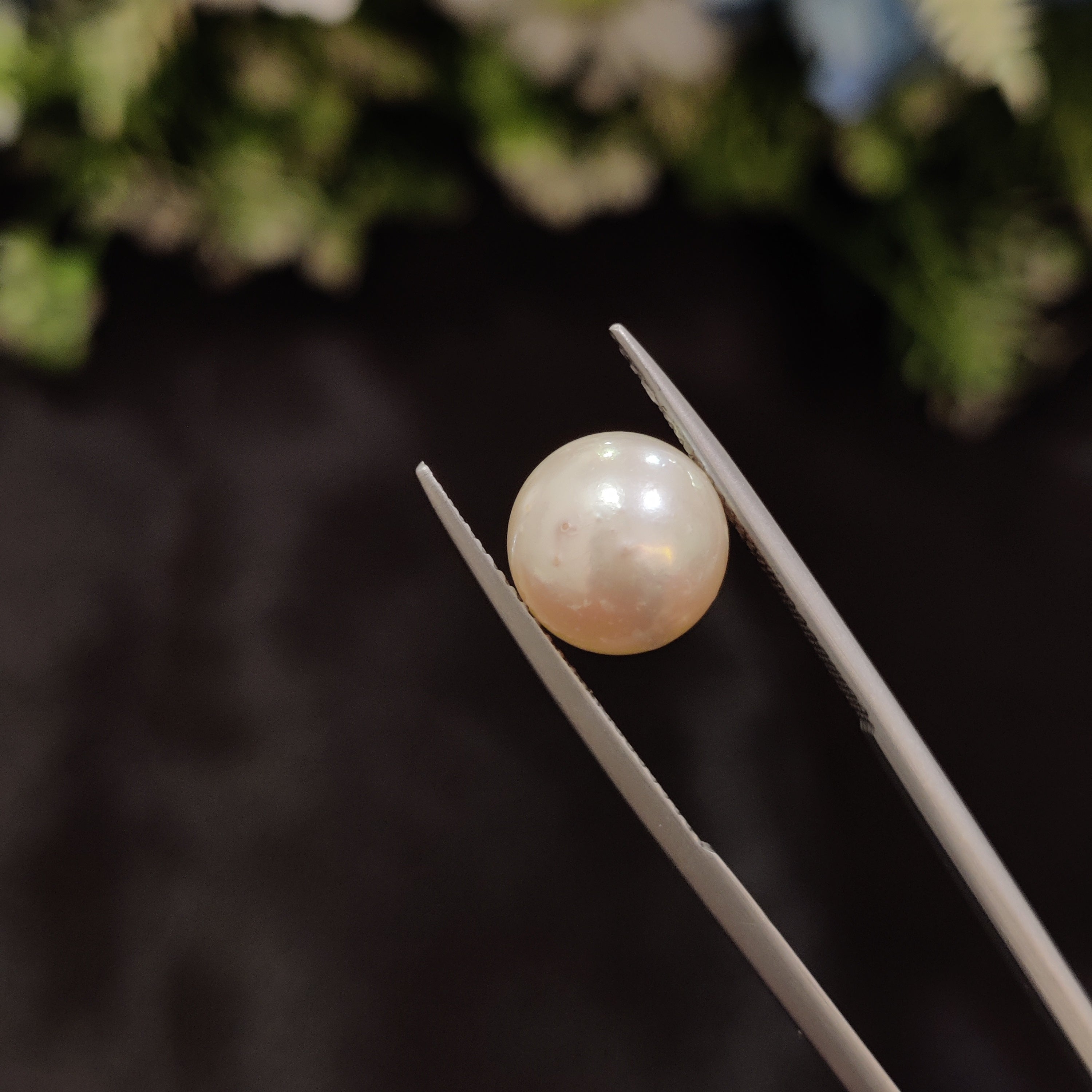 Pearl | Pearl 36 | 6.66 Carat
