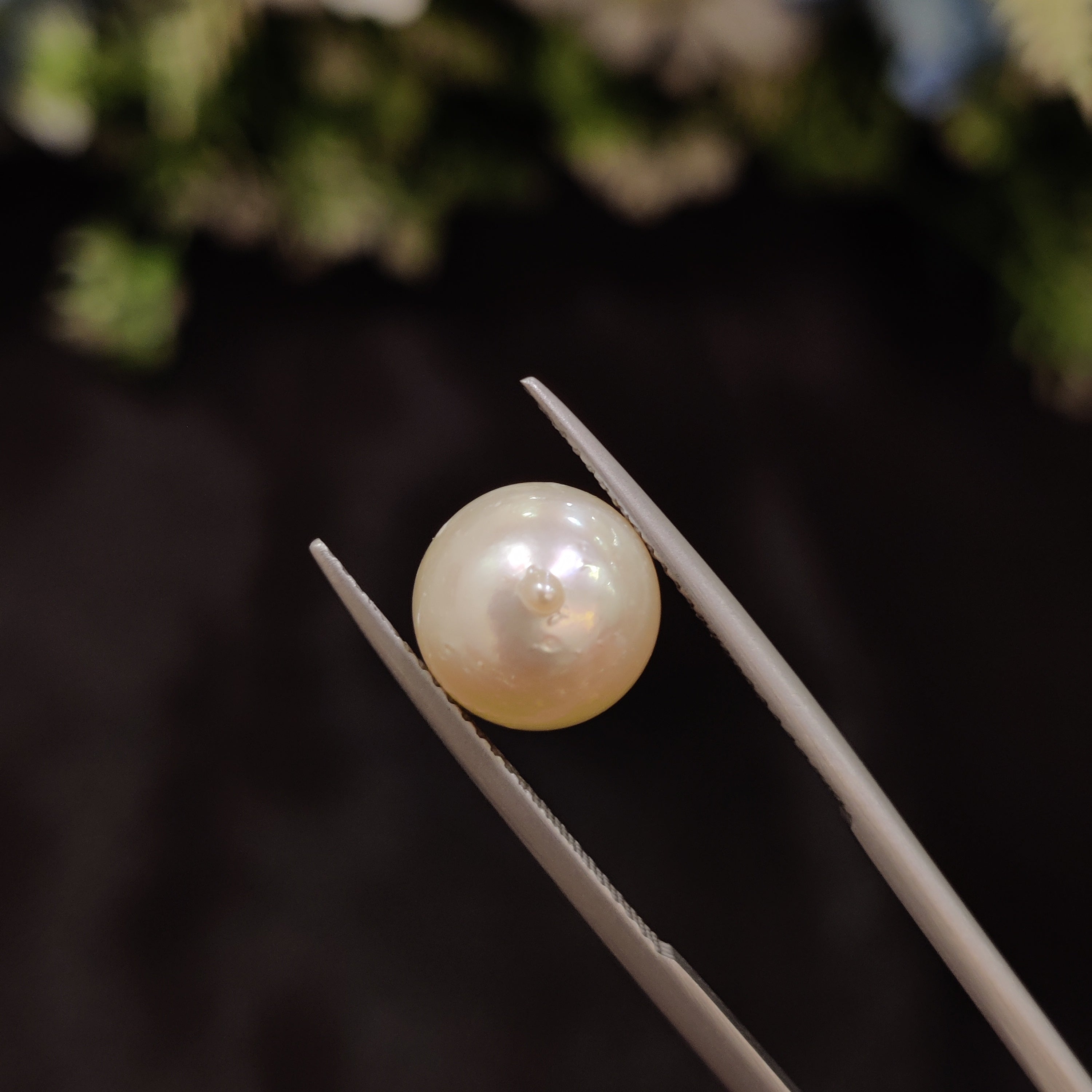 Pearl | Pearl 39 | 6.46 Carat