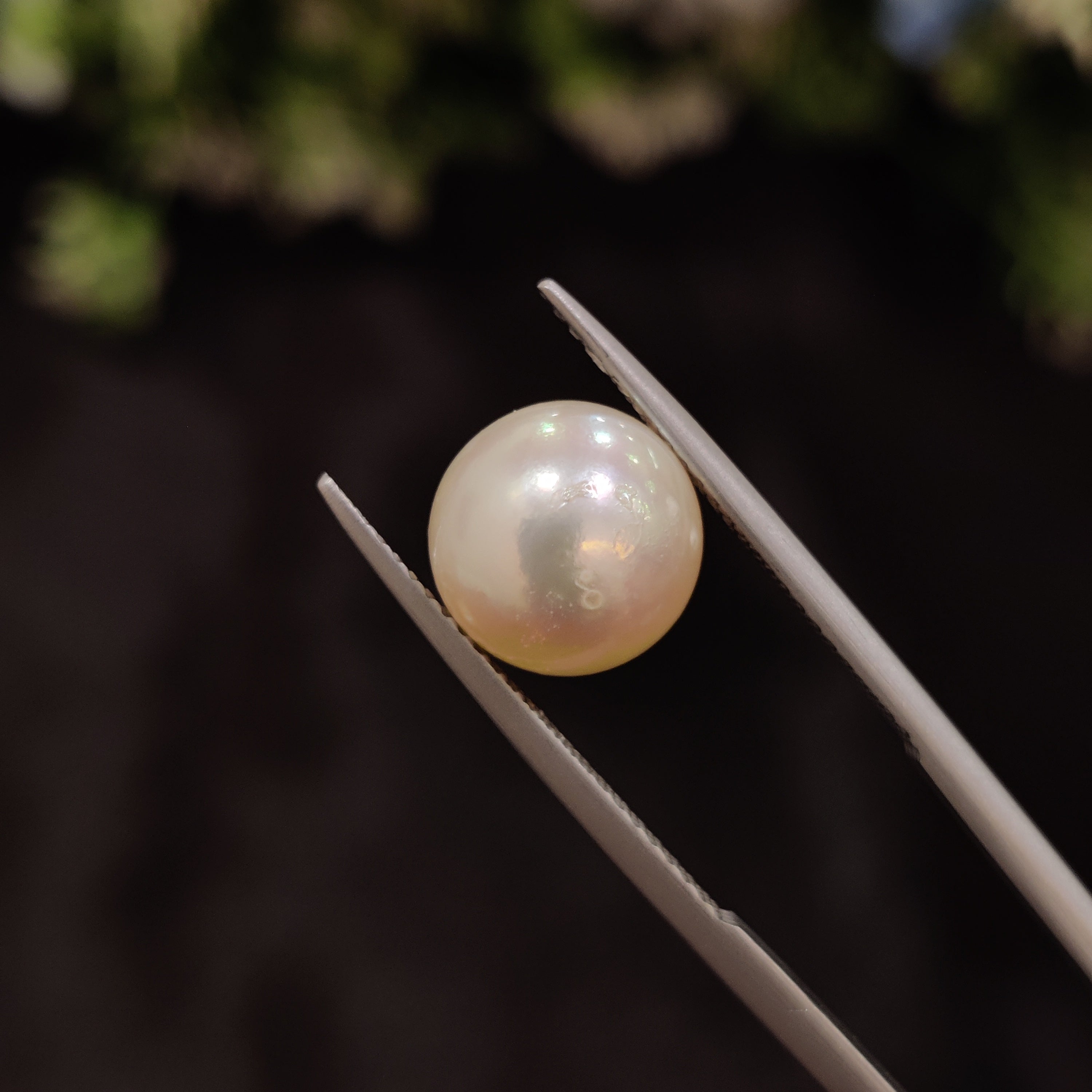 Pearl | Pearl 39 | 6.46 Carat