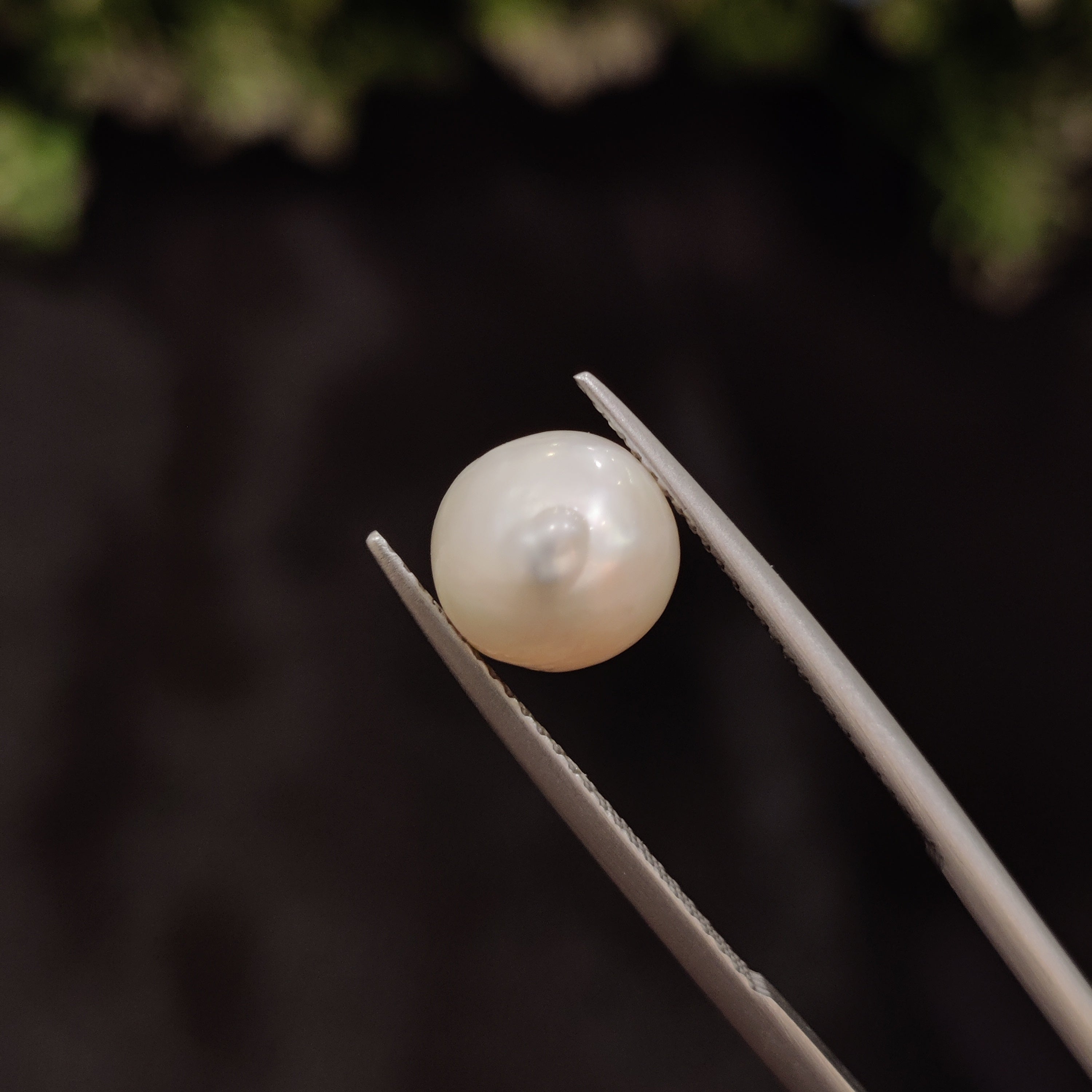 Pearl | Pearl 7 | 4.41 Carat