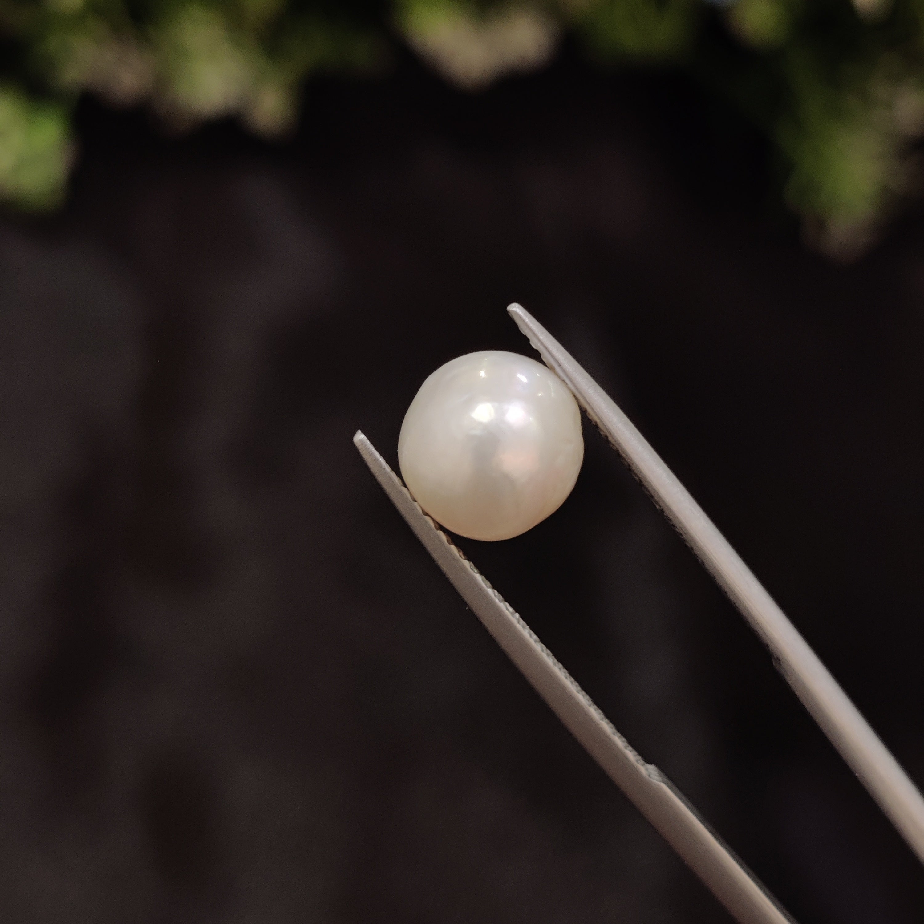 Pearl | Pearl 7 | 4.41 Carat