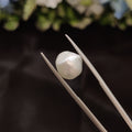 Pearl | Pearl 264 | 4.33 Carat