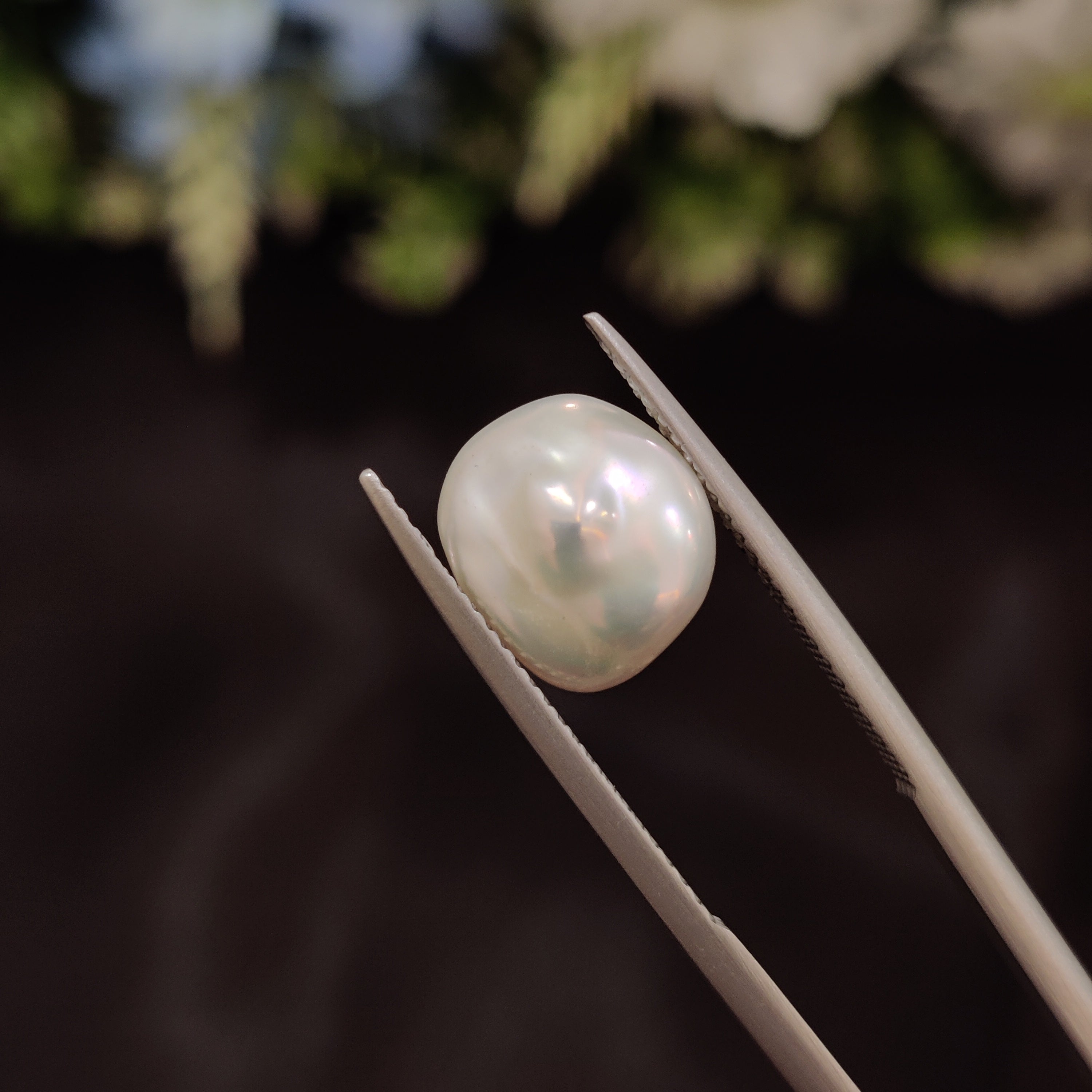 Pearl | Pearl 231 | 4.46 Carat