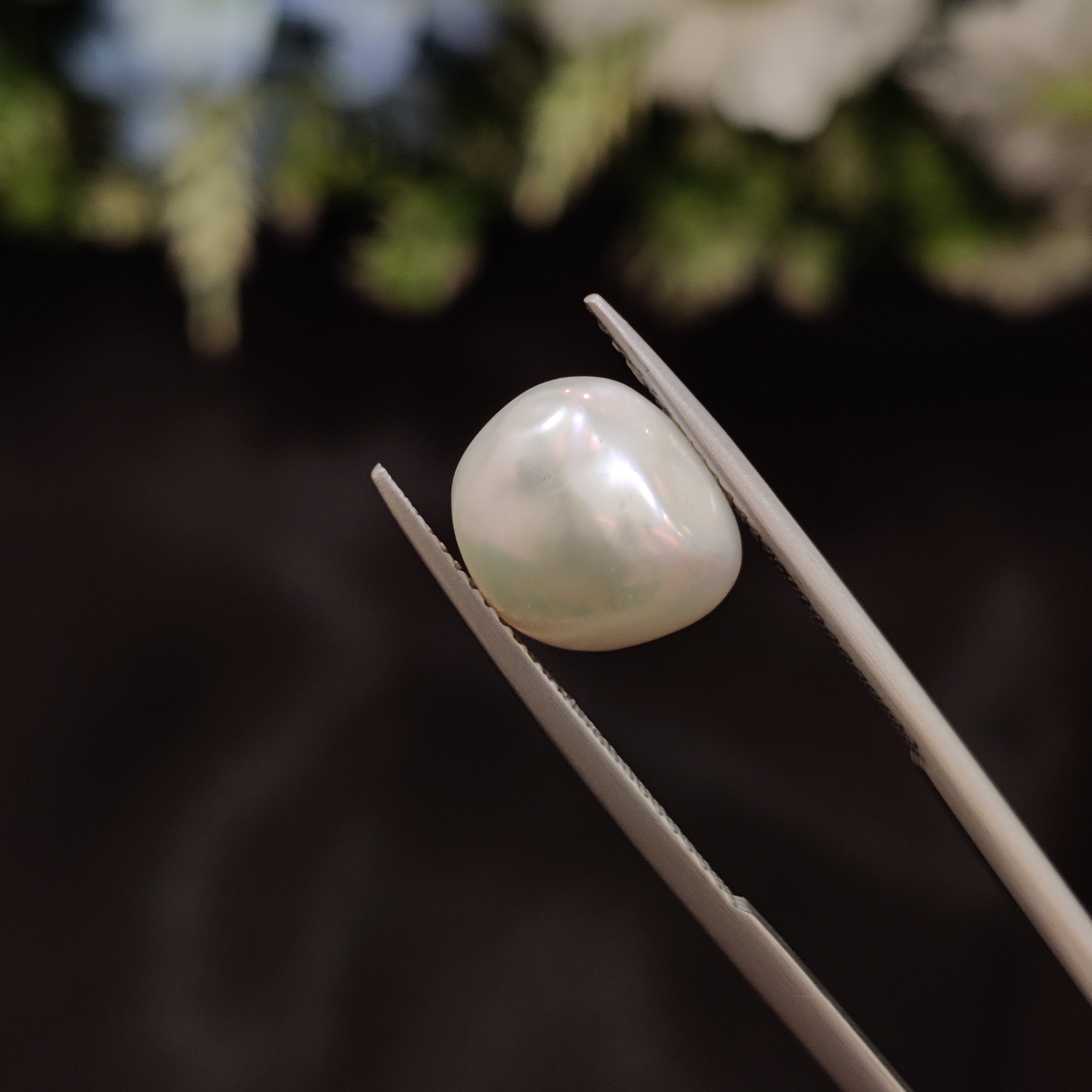 Pearl | Pearl 231 | 4.46 Carat