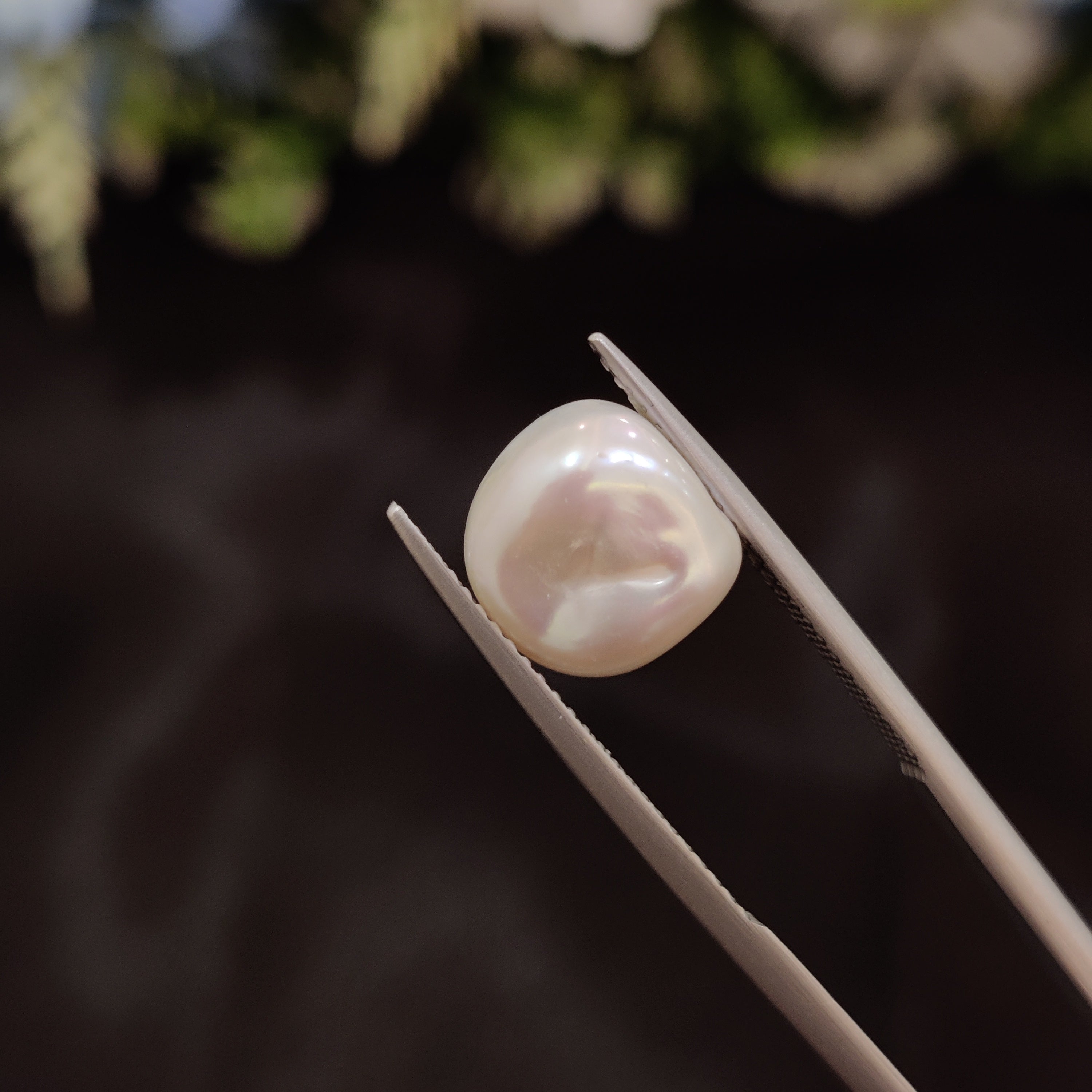 Pearl | Pearl 236 | 4.85 Carat