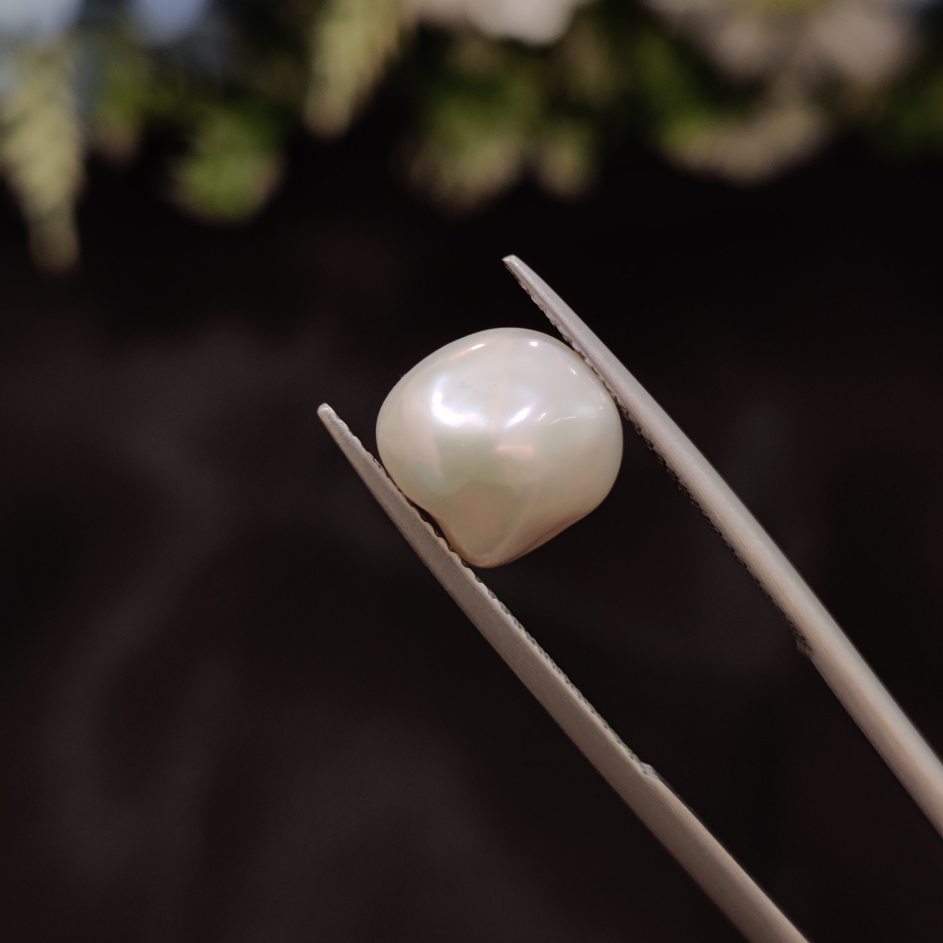 Pearl | Pearl 236 | 4.85 Carat