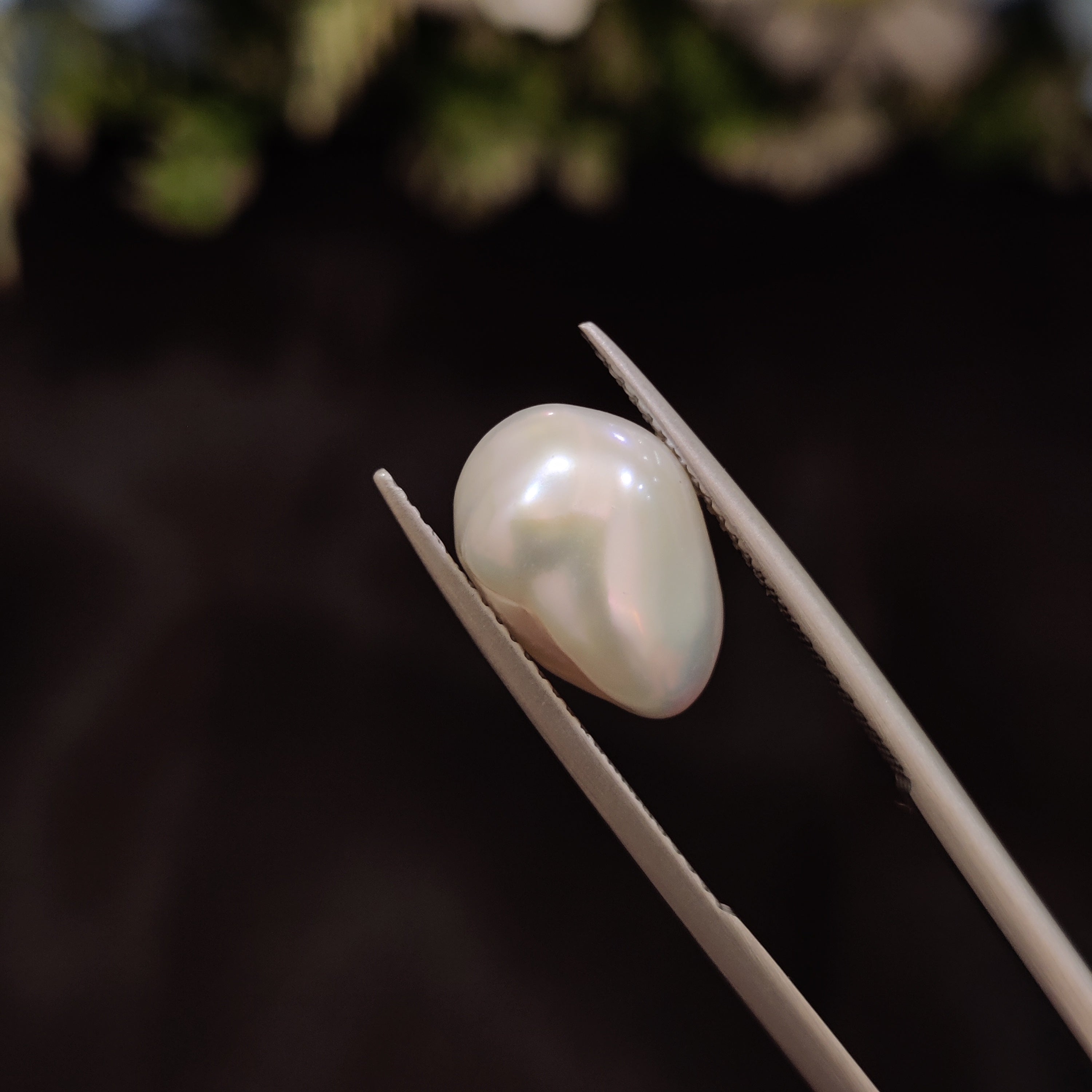 Pearl | Pearl 247 | 5.31 Carat