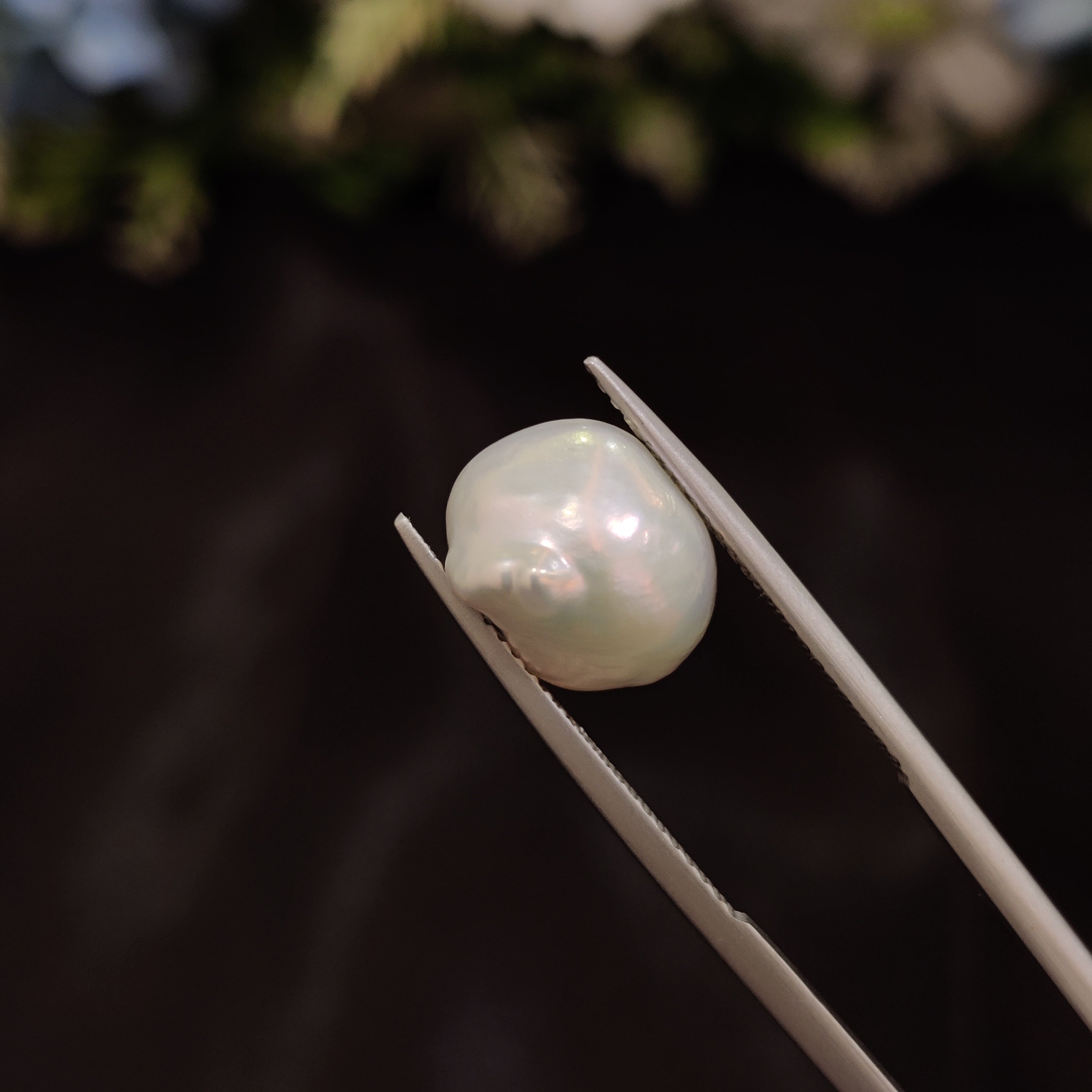 Pearl | Pearl 237 | 5.02 Carat