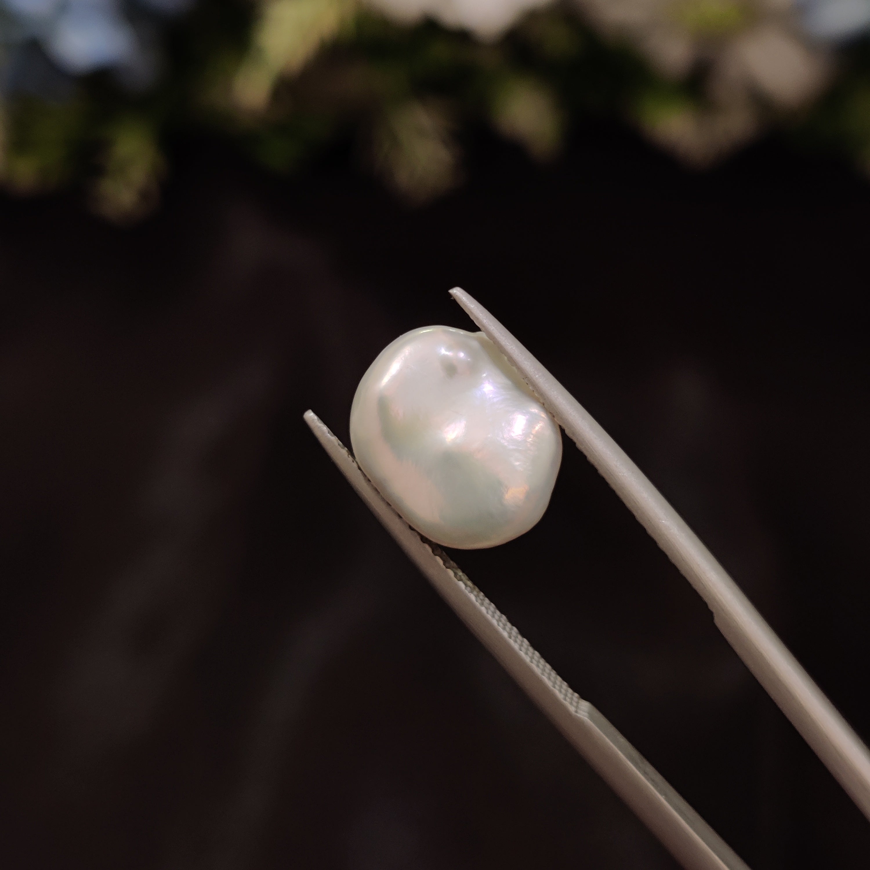 Pearl | Pearl 237 | 5.02 Carat