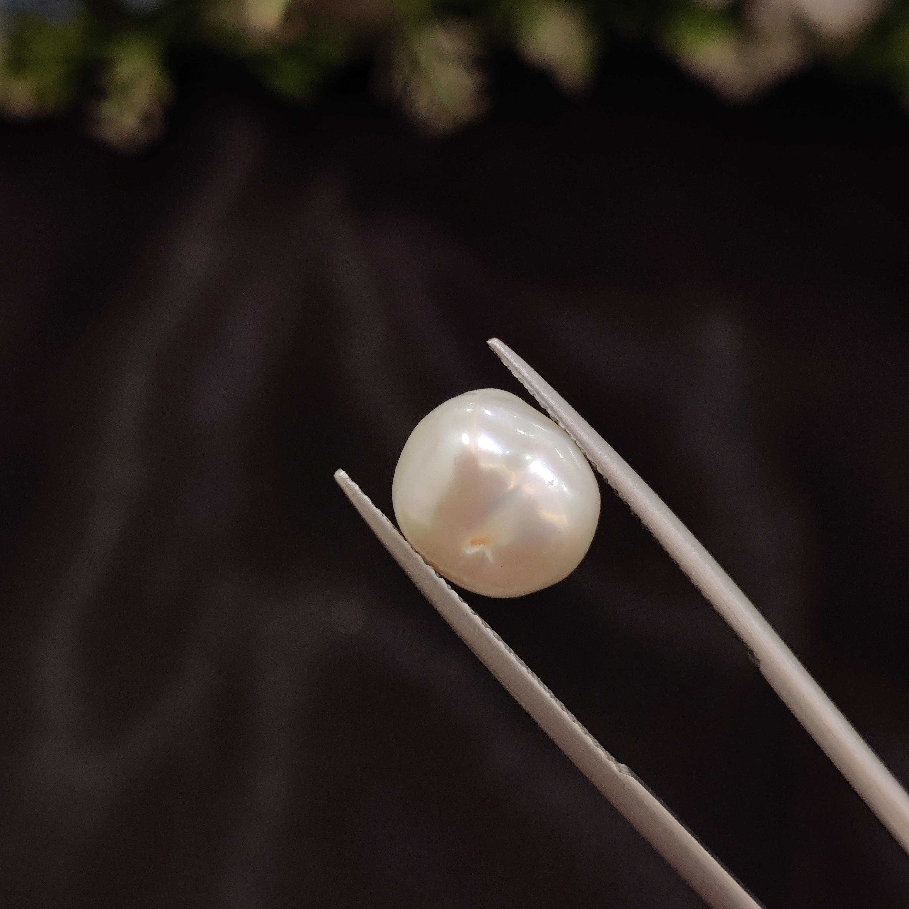 Pearl | Pearl 244 | 4.49 Carat