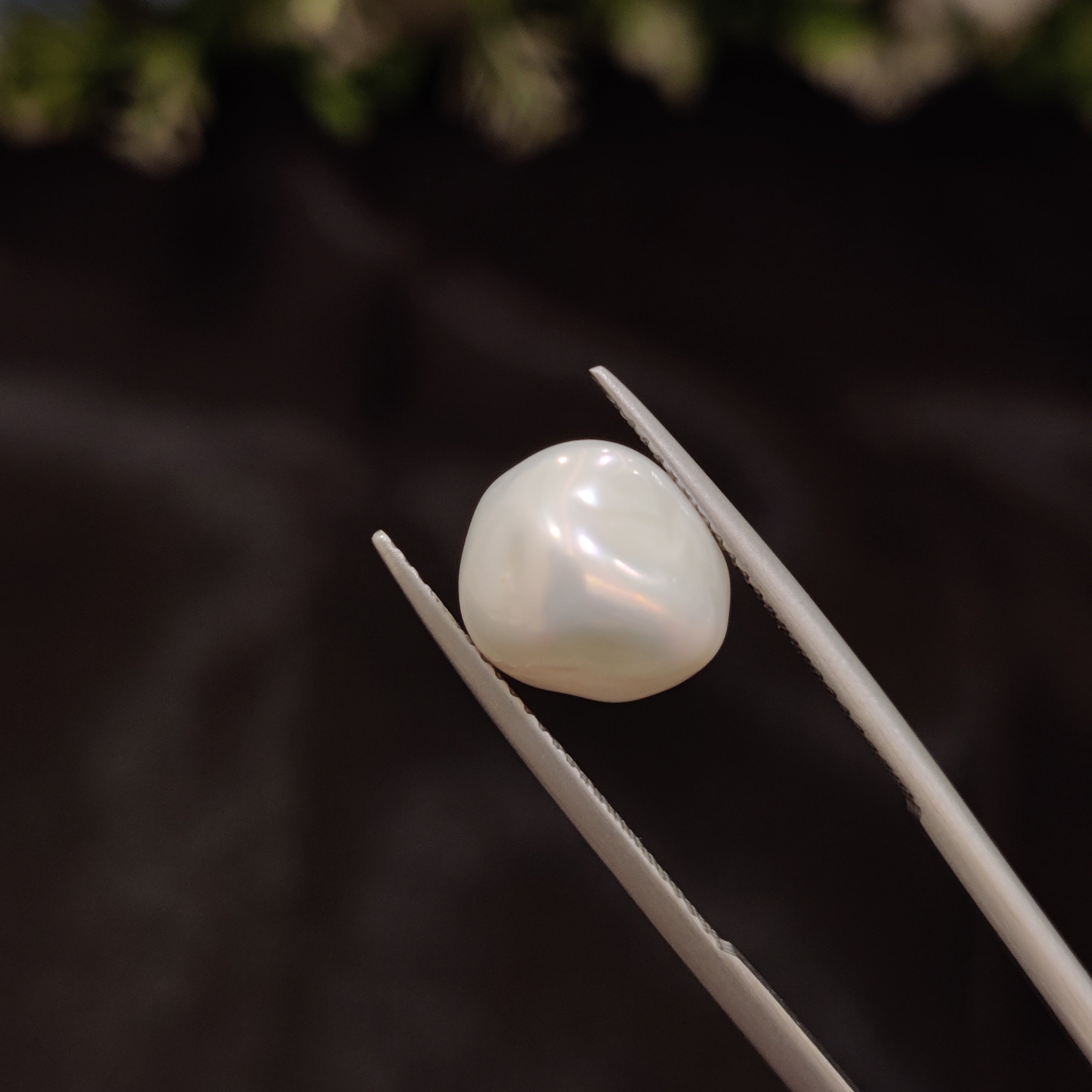 Pearl | Pearl 241 | 5.25 Carat