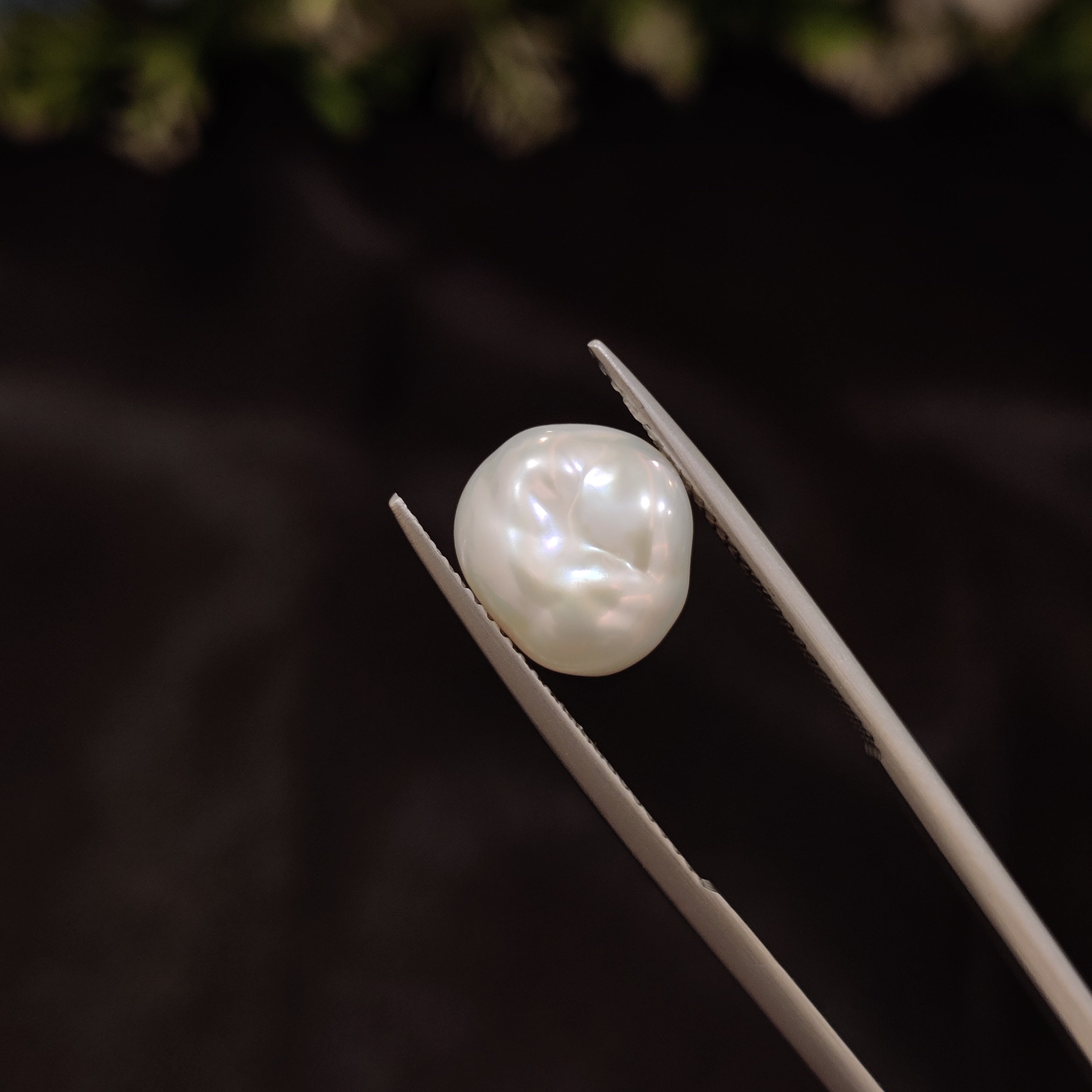 Pearl | Pearl 241 | 5.25 Carat
